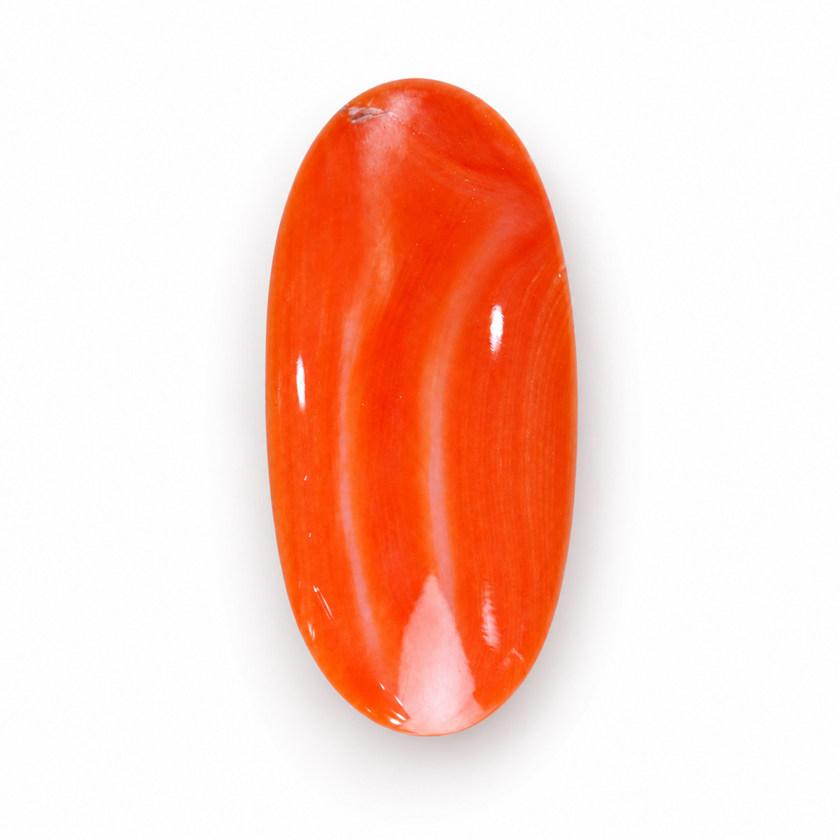 sheet:p_25_2026_10_40_26_AM-3.png?v=1790667595
