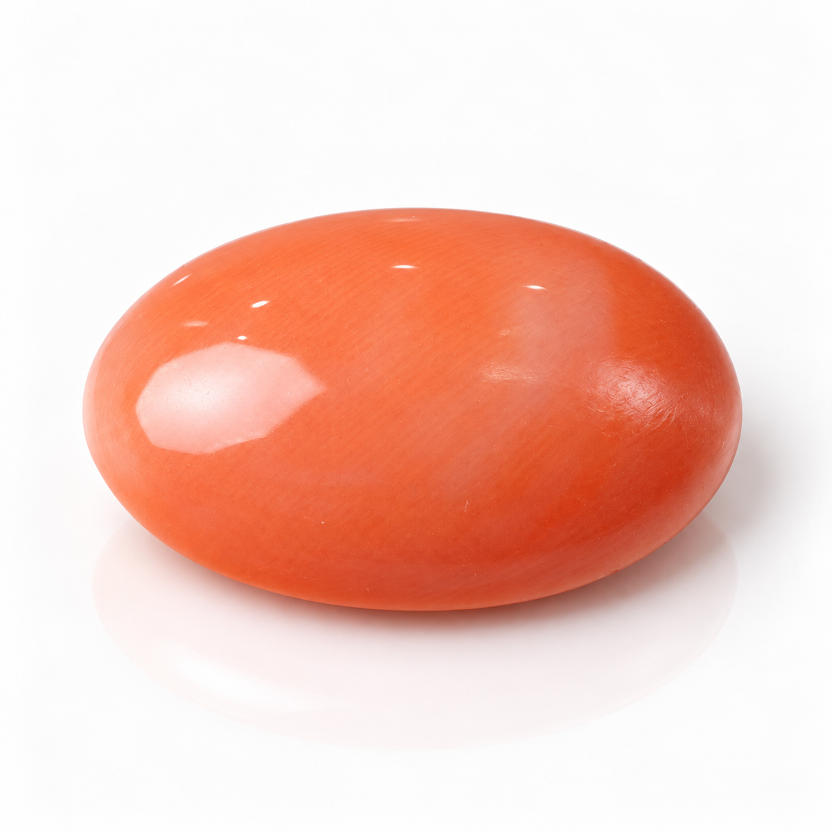 sheet:p_25_2026_10_50_41_AM-2.png?v=1790667613