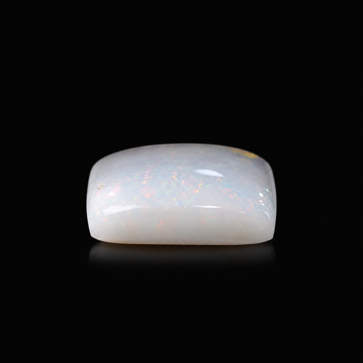 sheet:p_30_2026_03_04_30_PM-3.png?v=1791040630