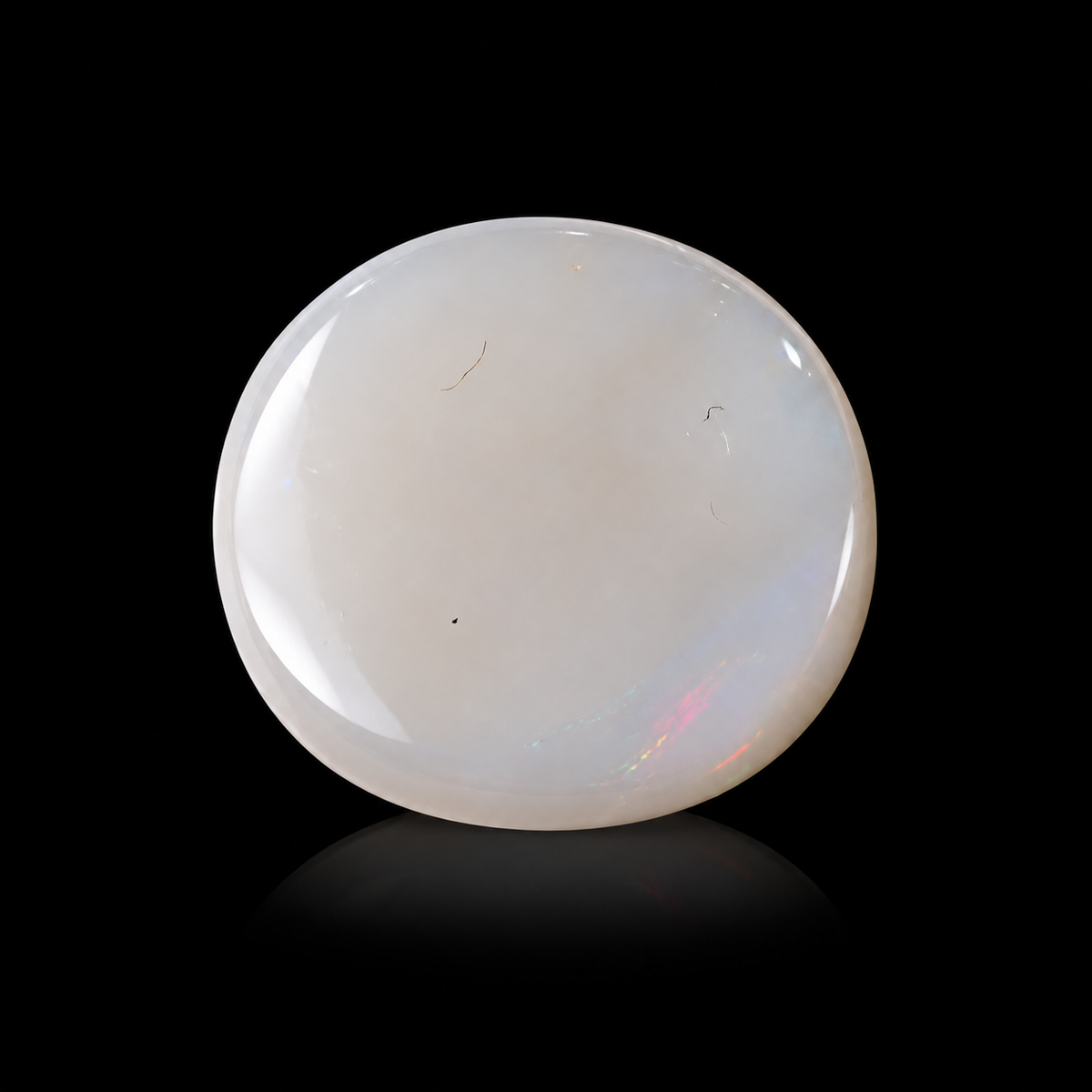 sheet:p_30_2026_04_00_12_PM-2.png?v=1791041296