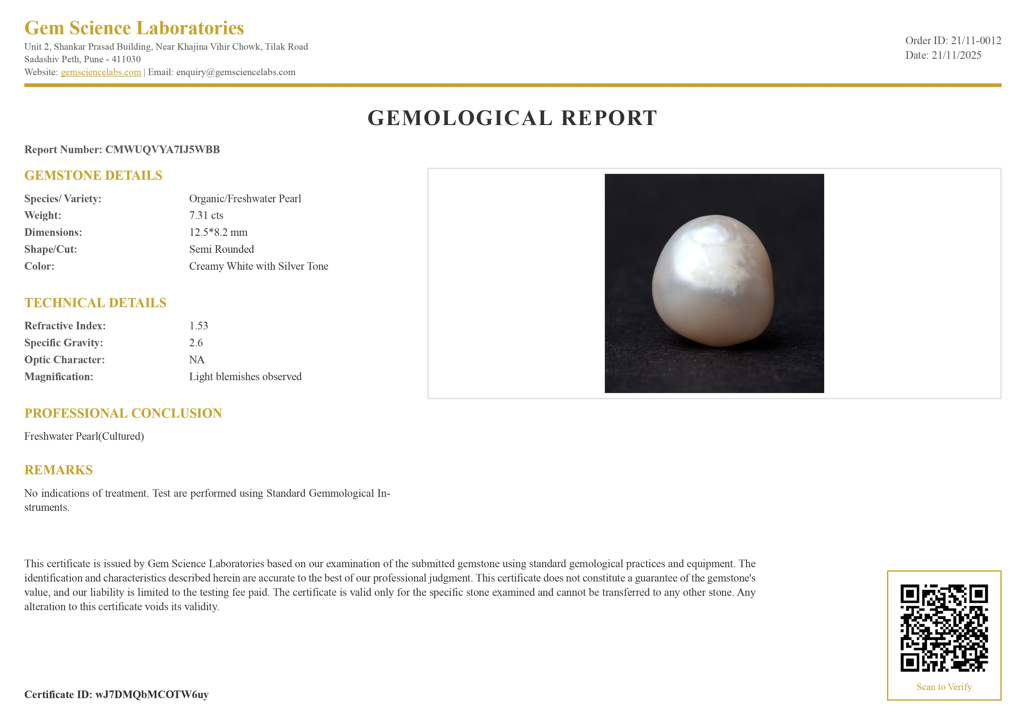 Fresh Water Pearl - 7.31 Carat