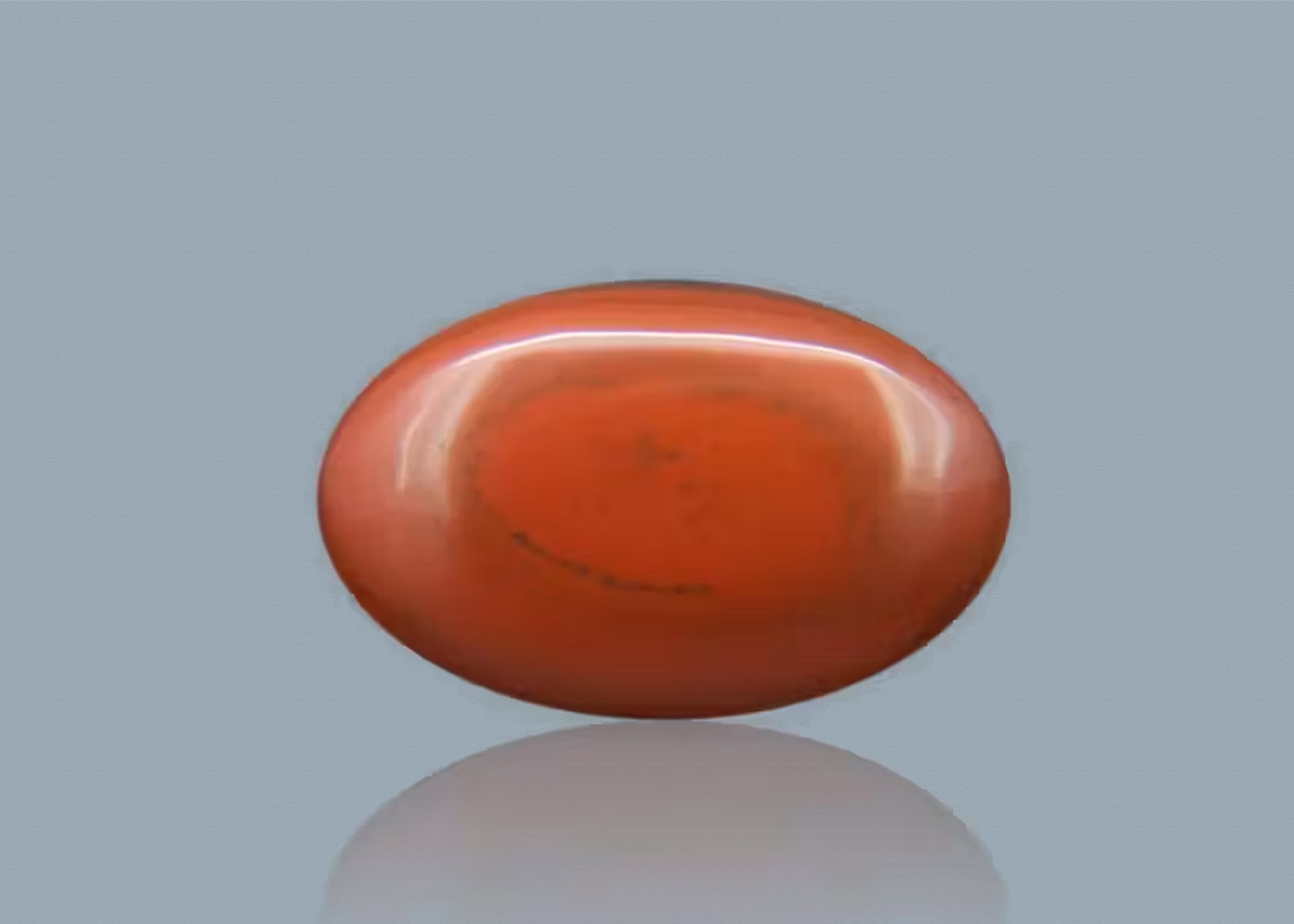Red Jasper ( 19.91 Carat )