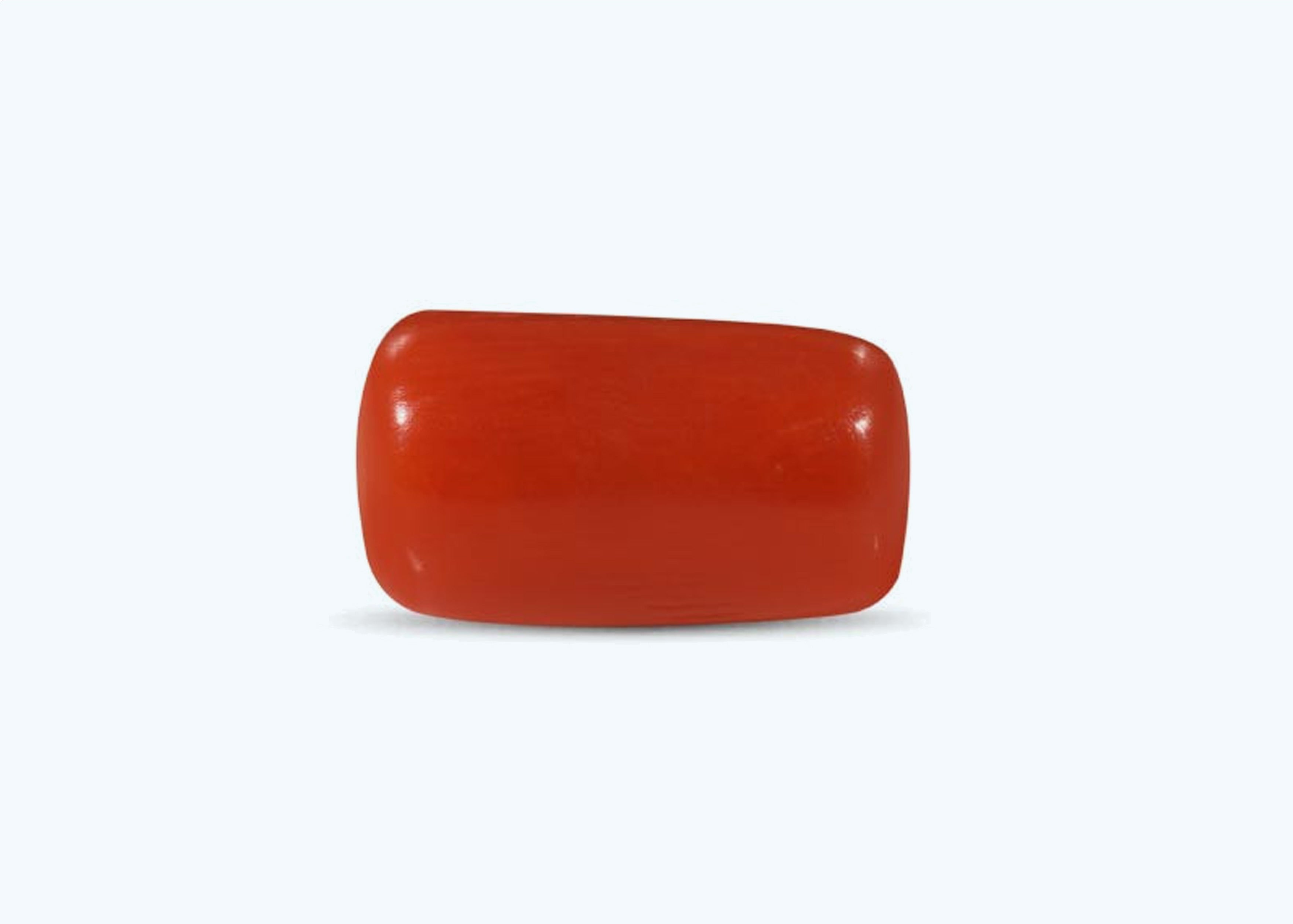 Red Coral ( 6.95 Carat )
