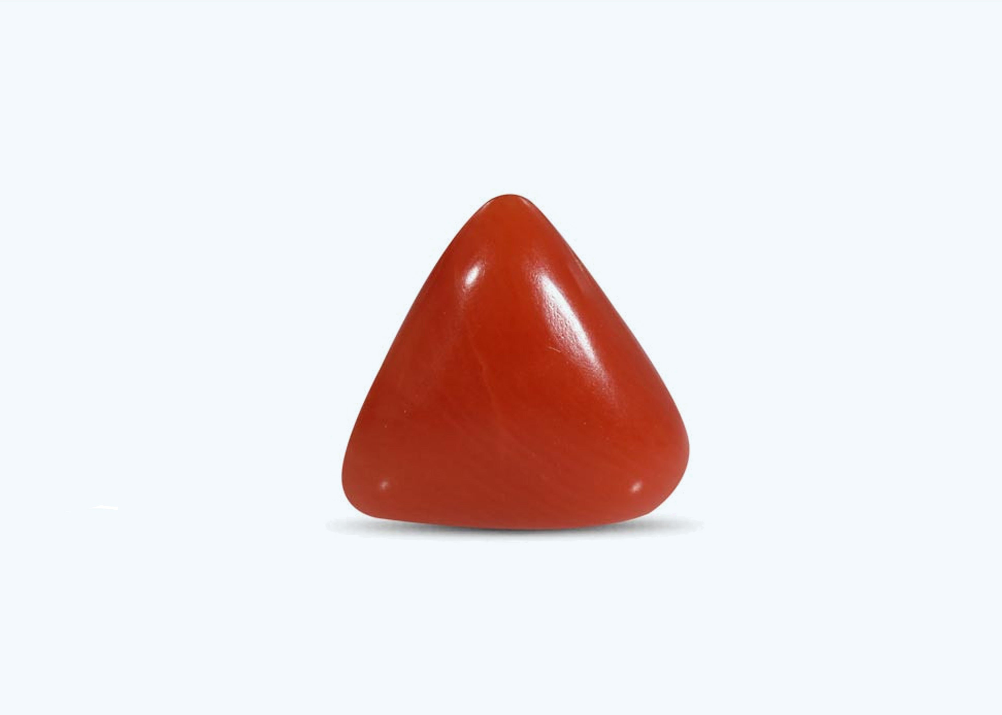 Red Coral ( 4.33 Carat )