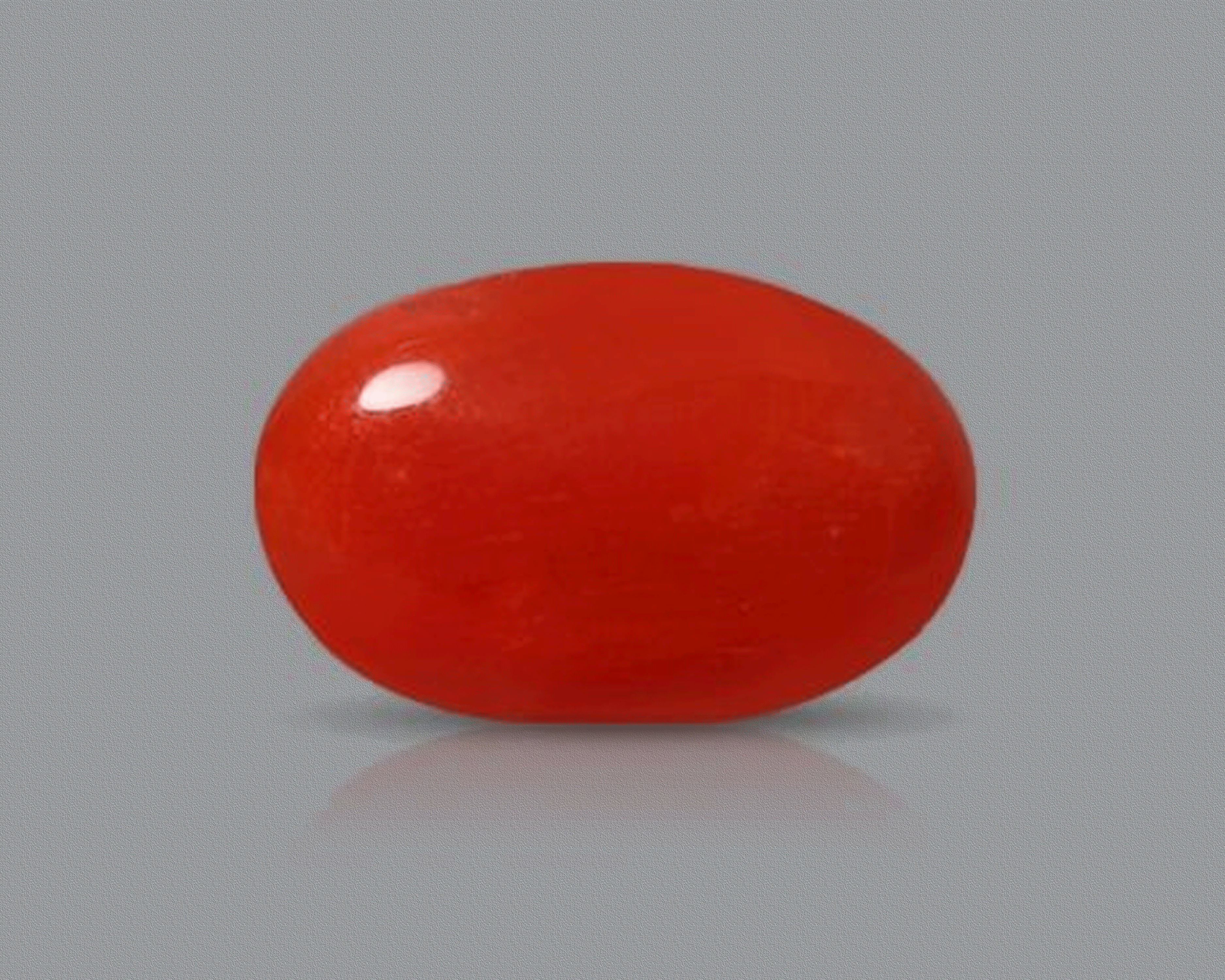 Red Coral ( Moonga )