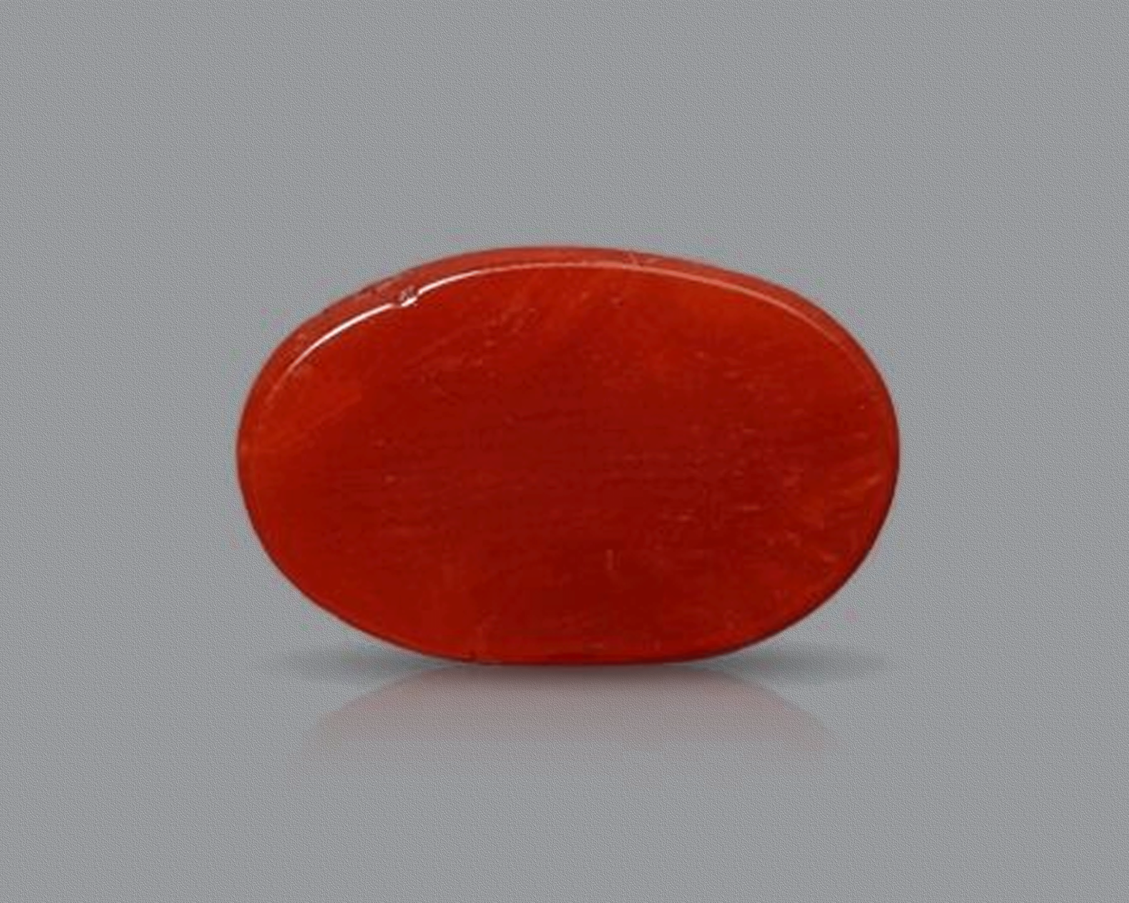 Red Coral ( Moonga )