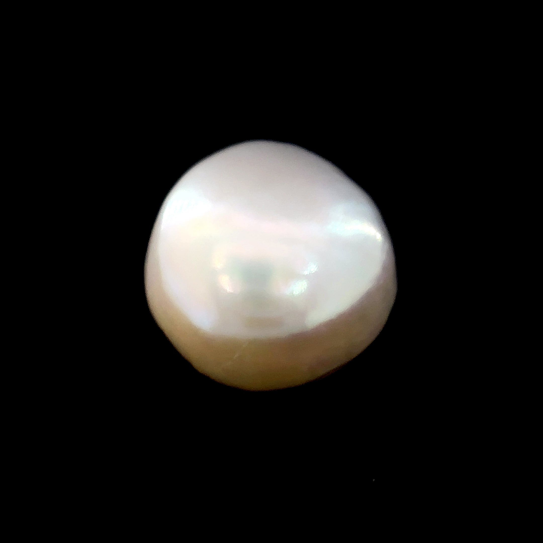 Fresh Water Pearl - 8.15 Carat