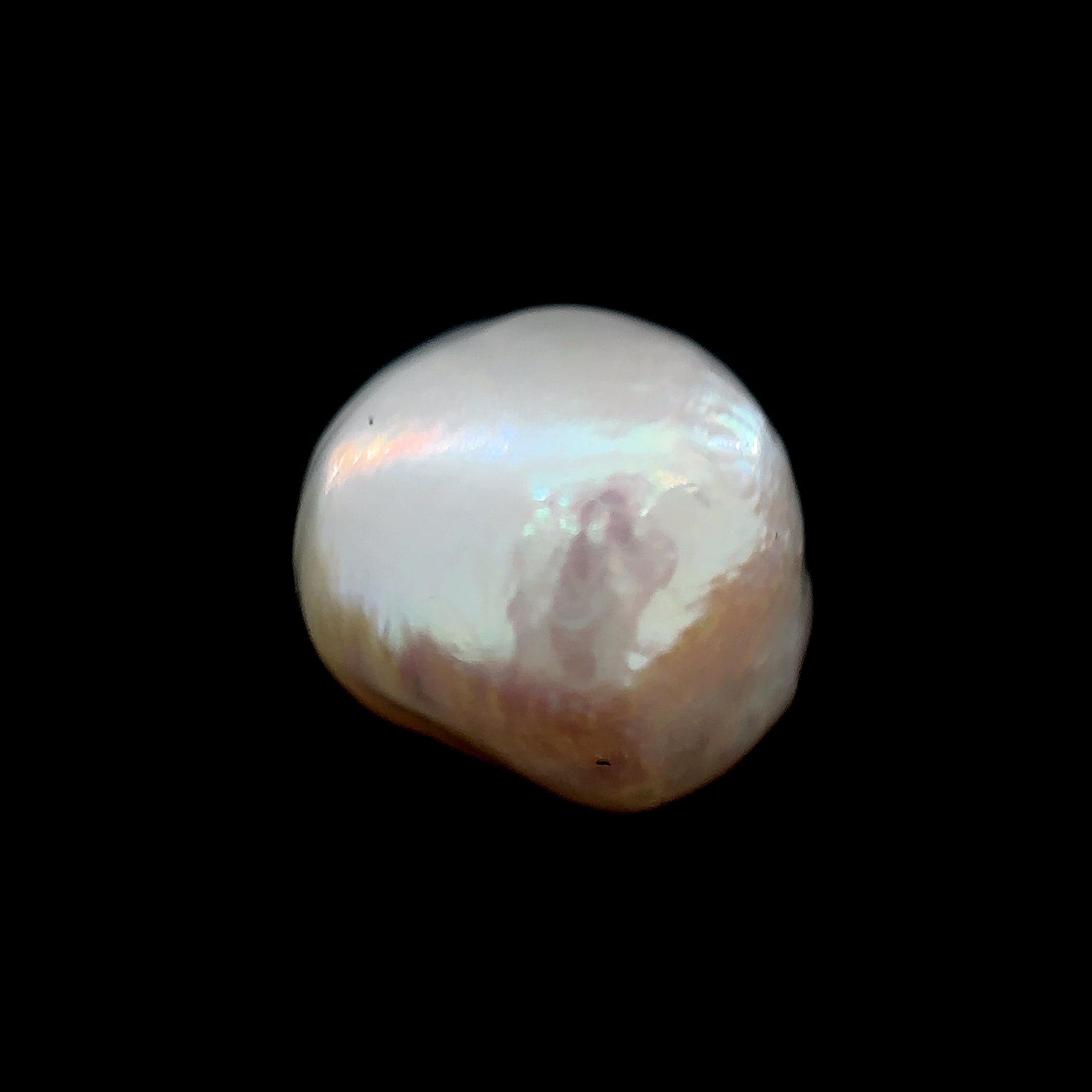 Fresh Water Pearl - 8.55 Carat
