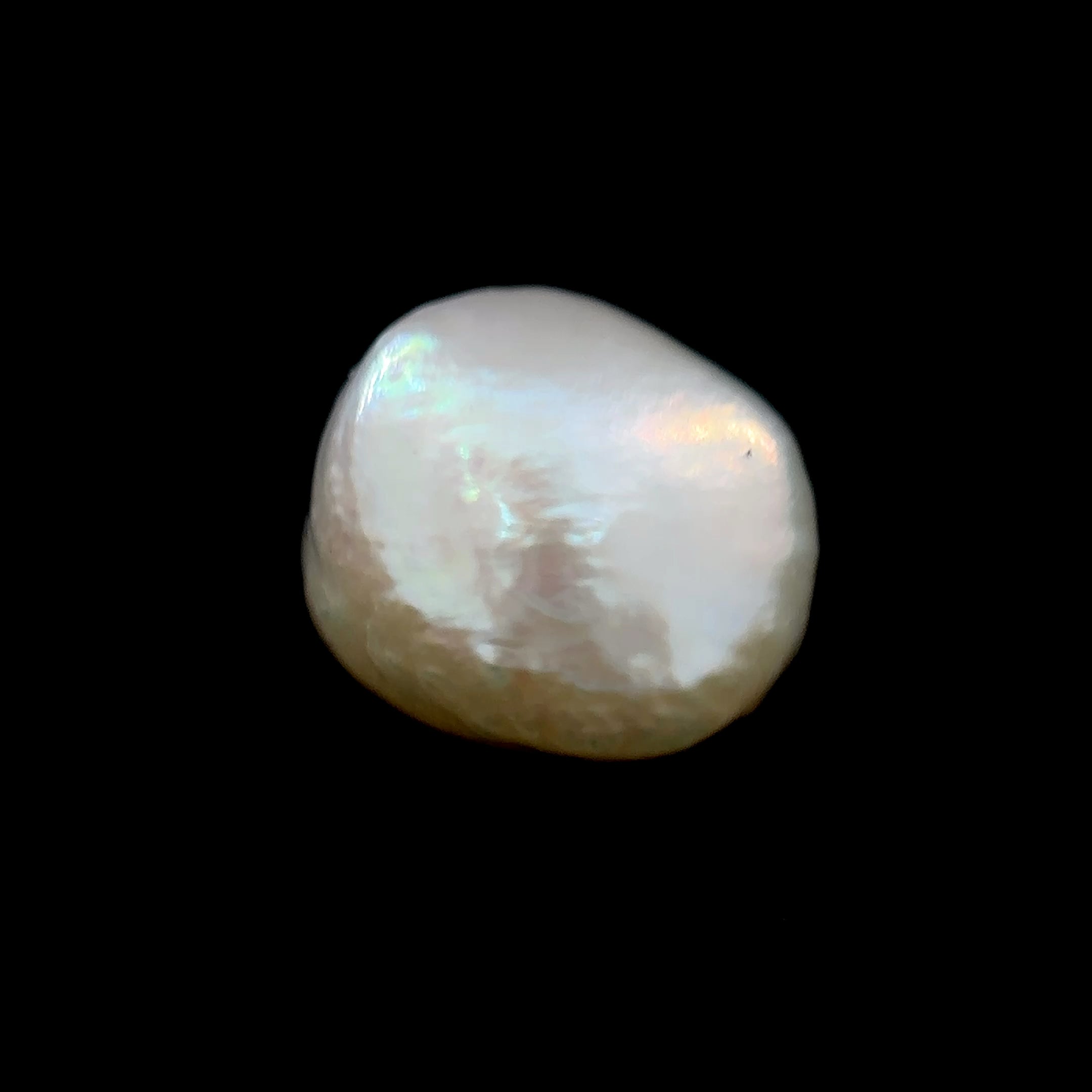 Fresh Water Pearl - 8.55 Carat