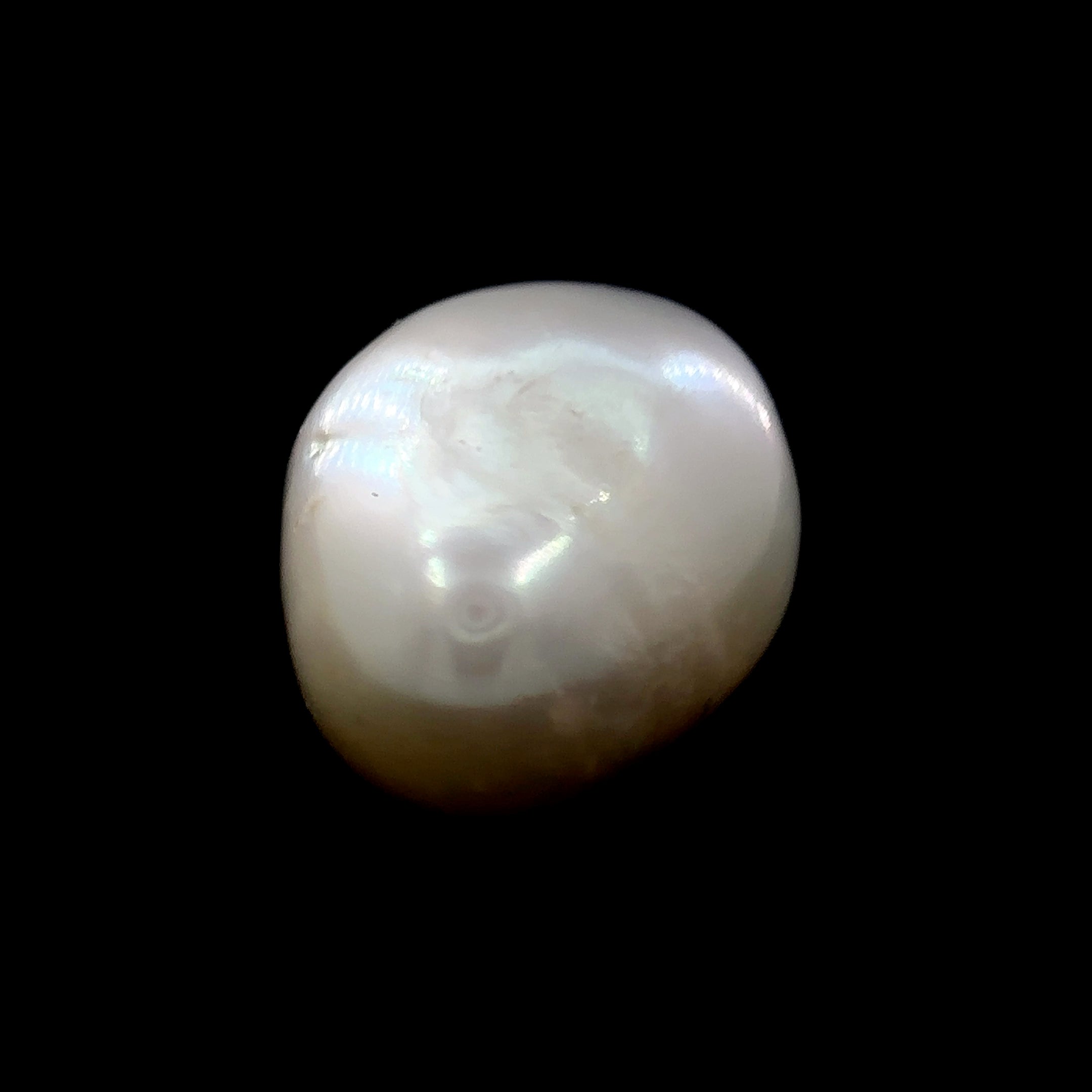 Fresh Water Pearl - 9.60 Carat