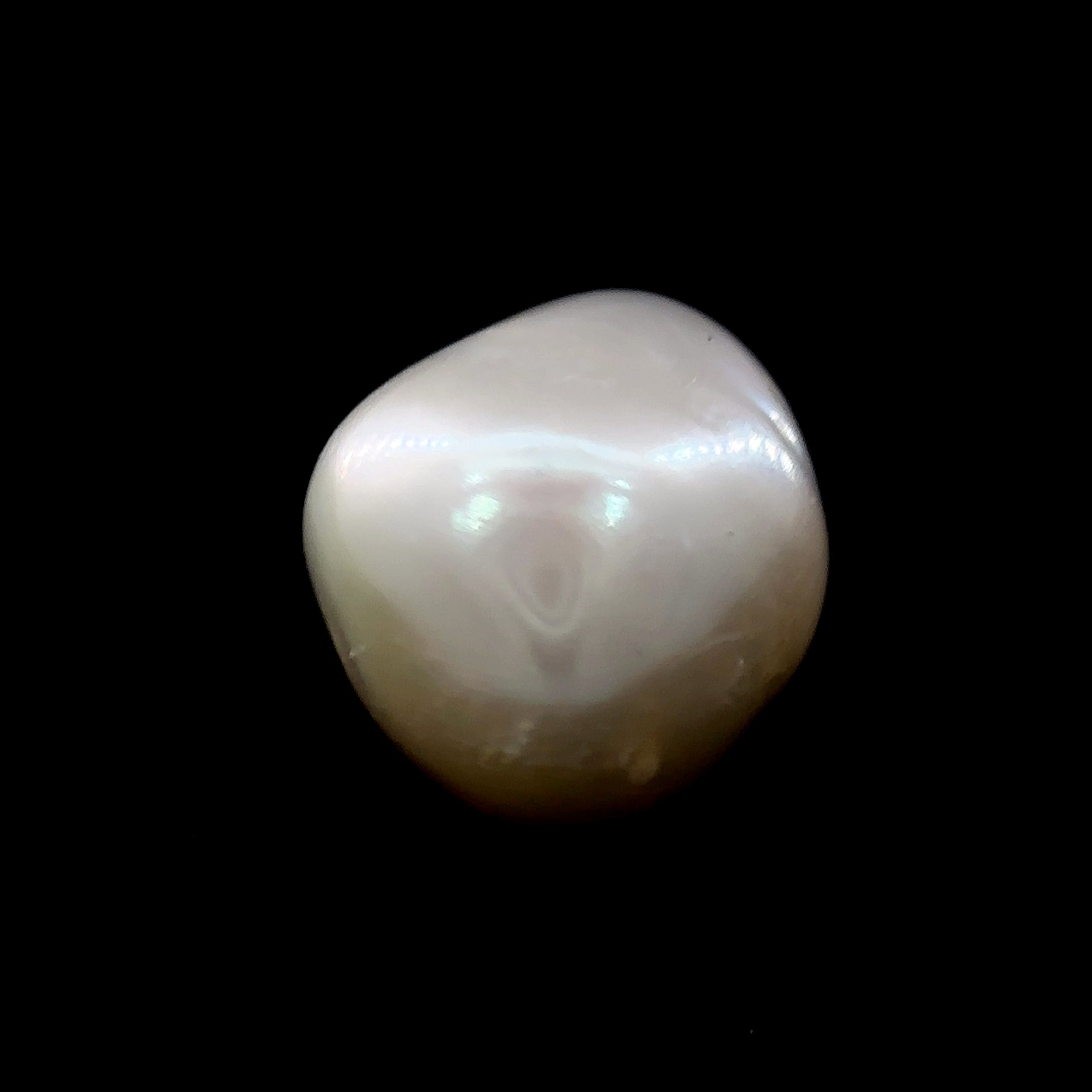 Fresh Water Pearl - 9.60 Carat