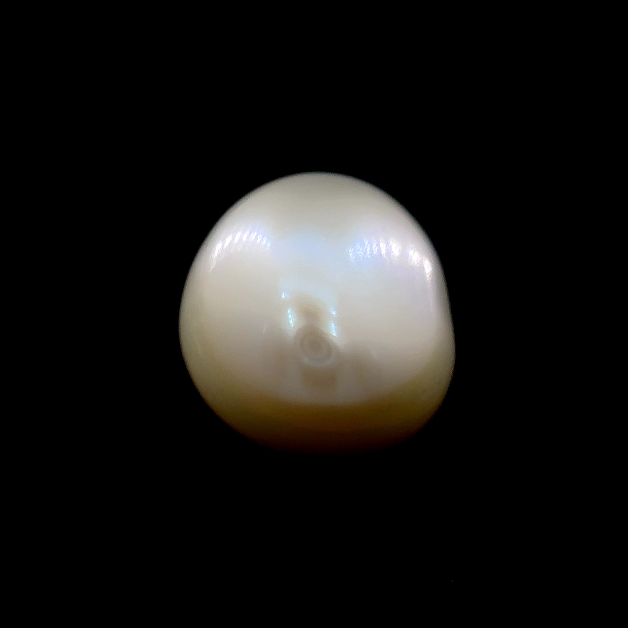 Fresh Water Pearl - 7.80 Carat