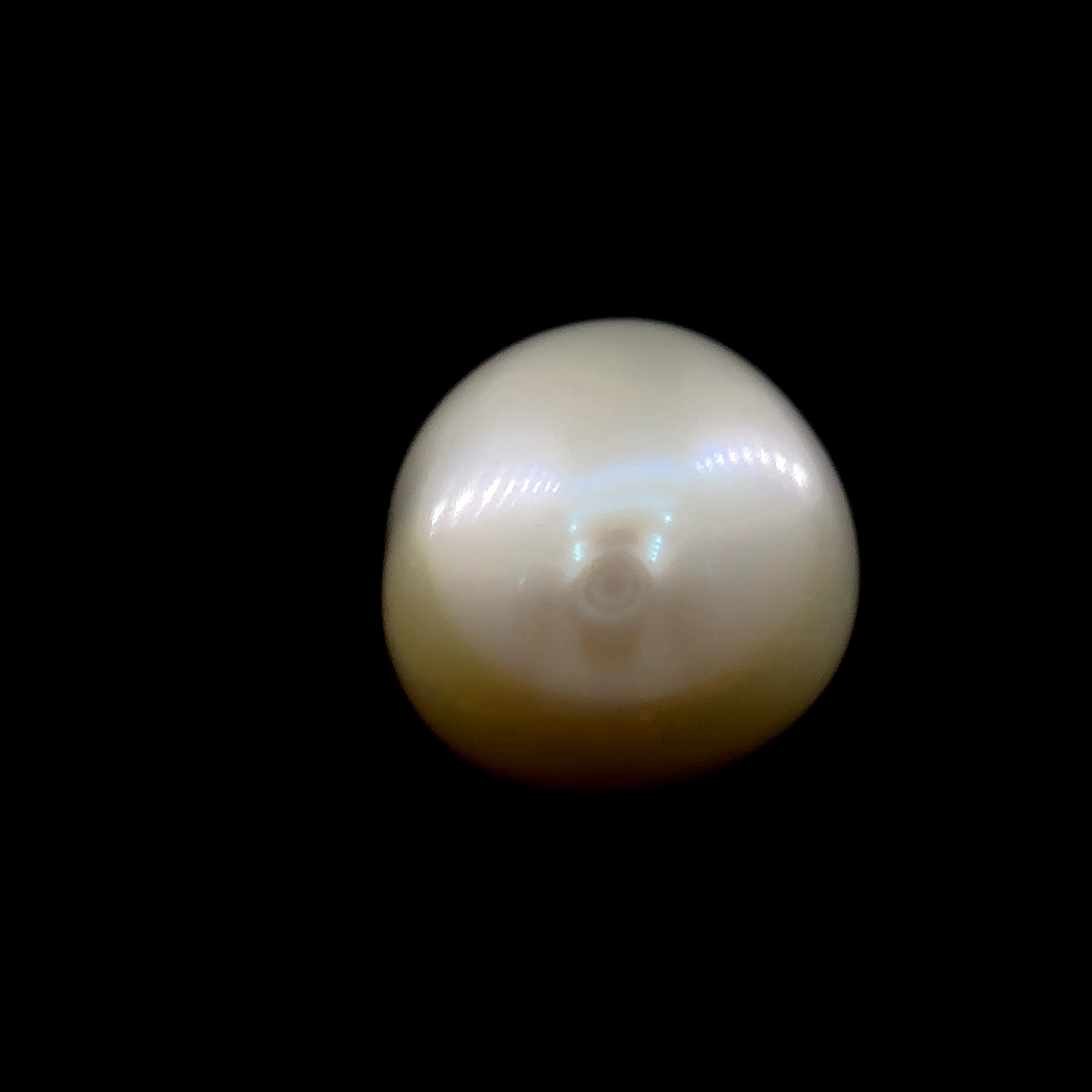 Fresh Water Pearl - 7.80 Carat