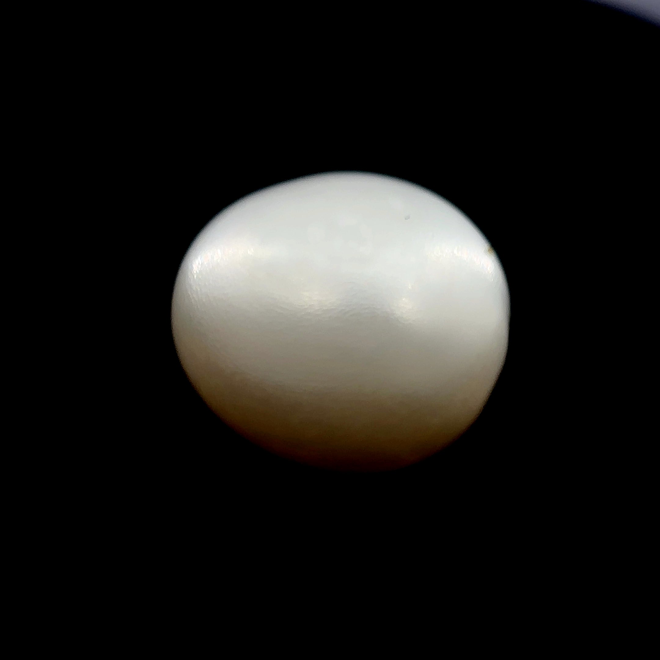 Fresh Water Pearl - 9.65 Carat