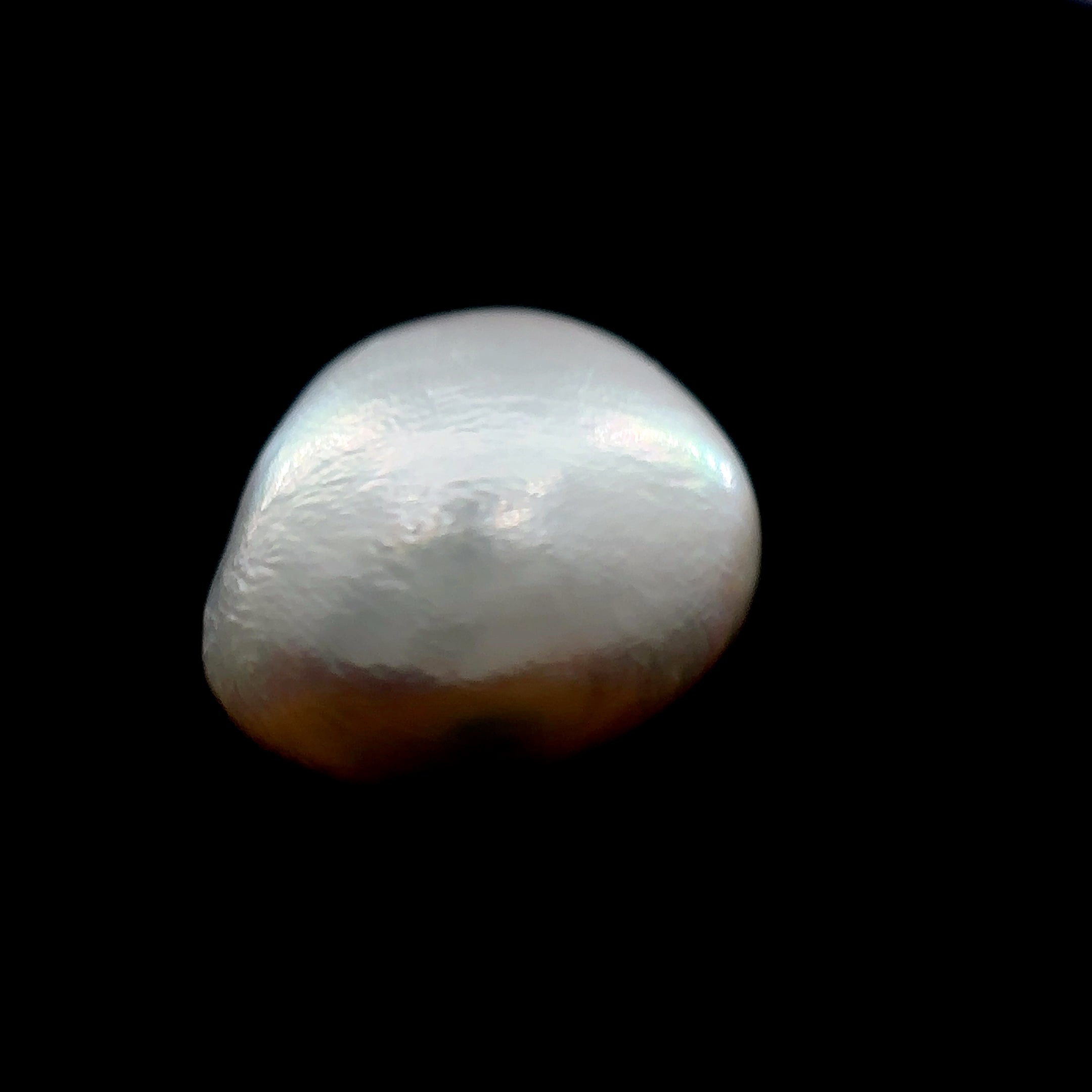 Fresh Water Pearl - 8.45 Carat