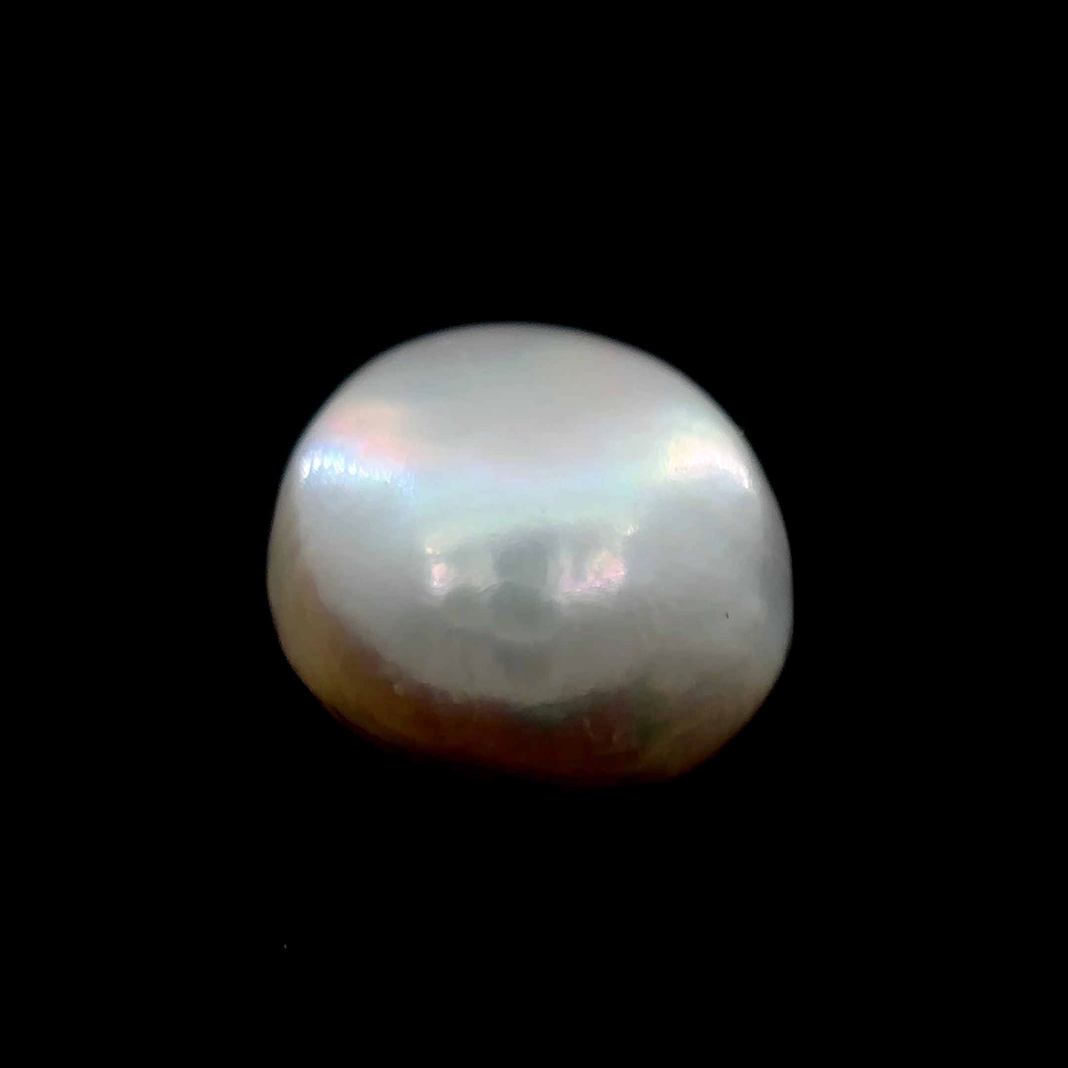 Fresh Water Pearl - 8.25 Carat
