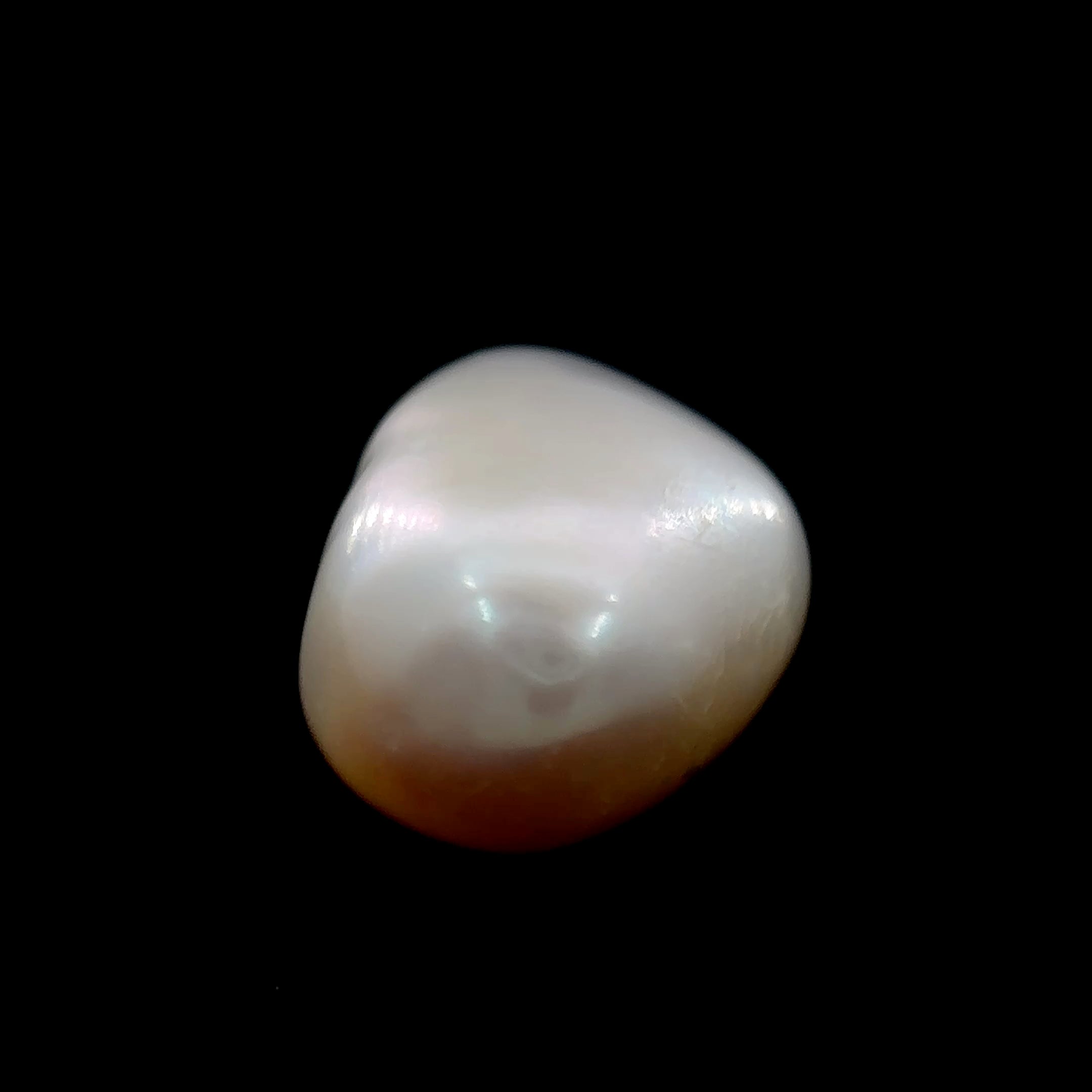 Fresh Water Pearl - 7.70 Carat