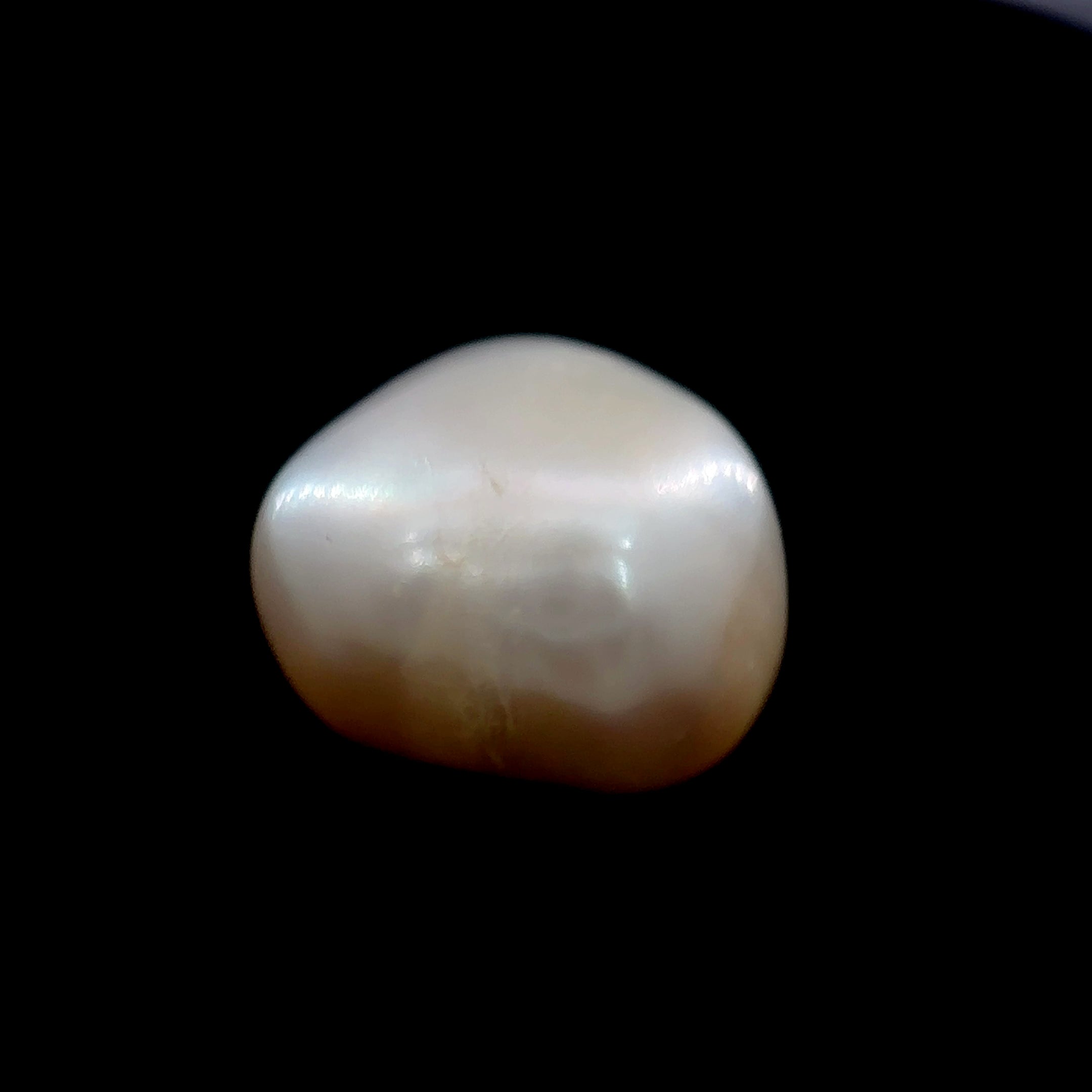 Fresh Water Pearl - 7.70 Carat