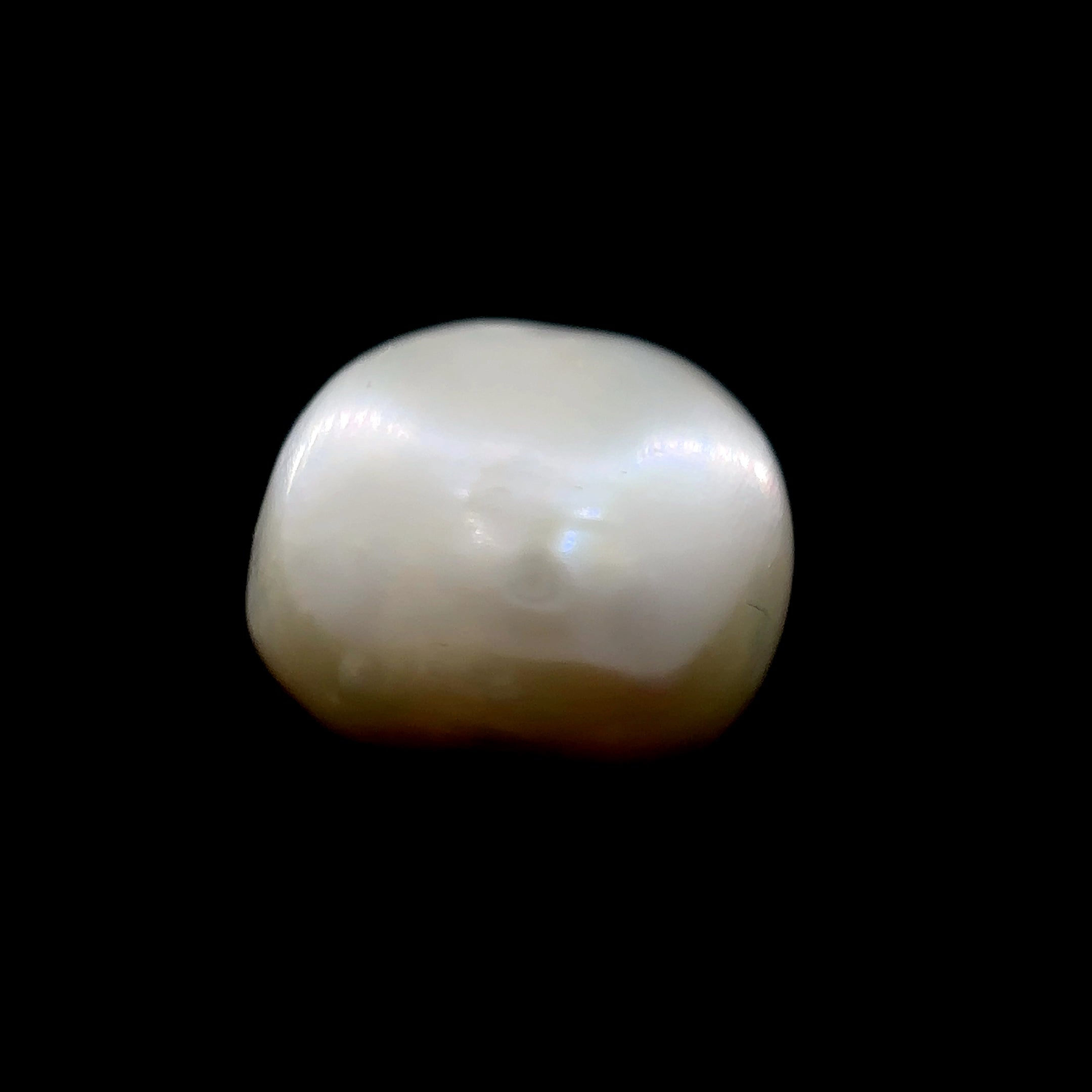 Fresh Water Pearl - 9.50 Carat