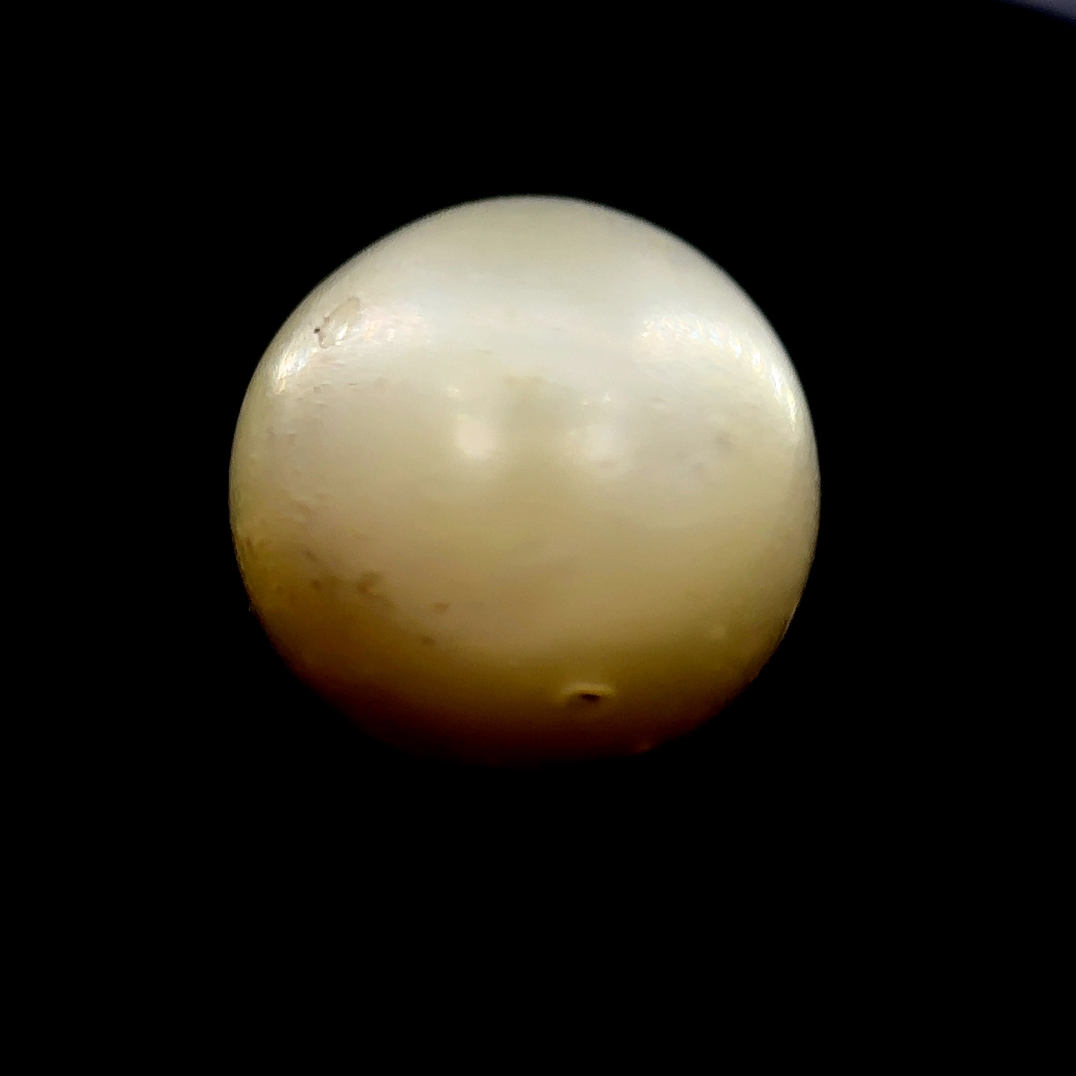 South Sea Pearl - 14.45 Carat