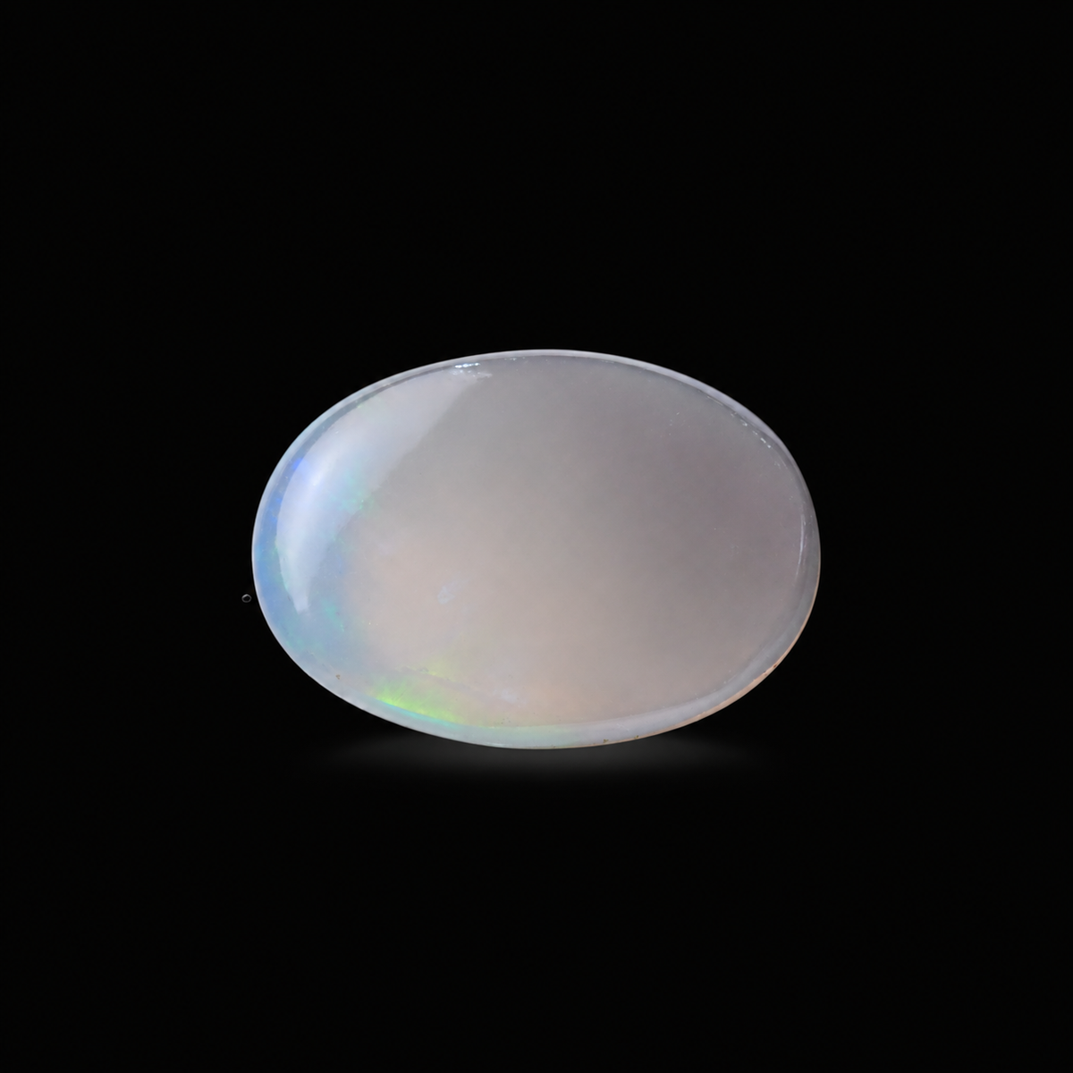 sheet:-42a4-bce3-a20027a9f3d2.png?v=1791605641