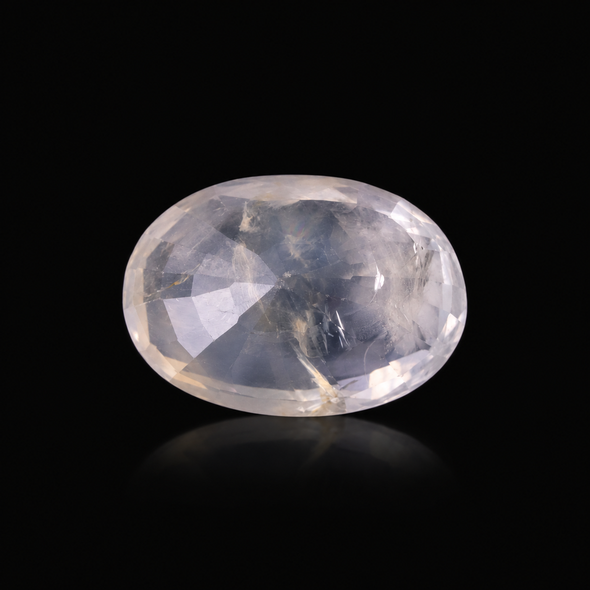 sheet:te_Sapphire_Back_View-1.png?v=1793273217