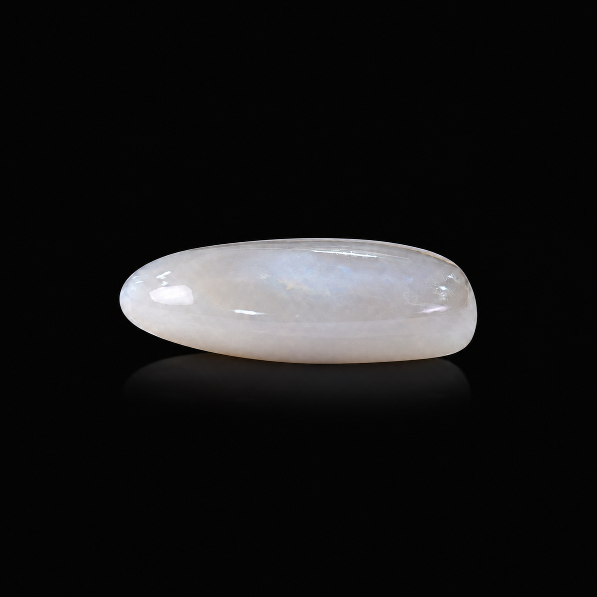 sheet:l_side_angle_on_black-3.png?v=1791041531