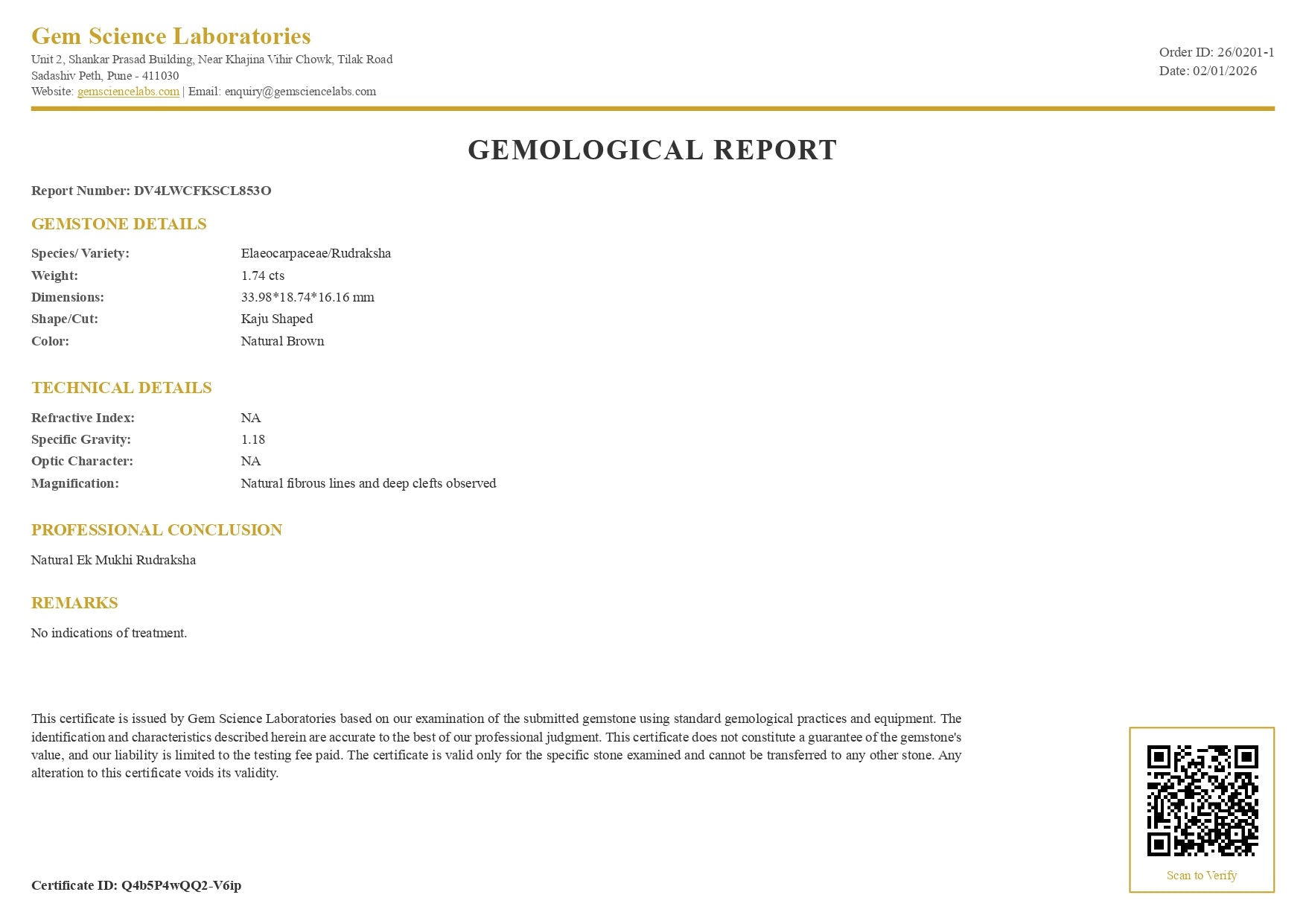 1 Mukhi Rudraksha 1.74
