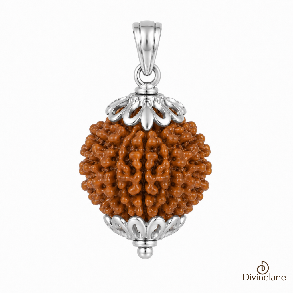 7 Mukhi Rudraksha (Nepali)