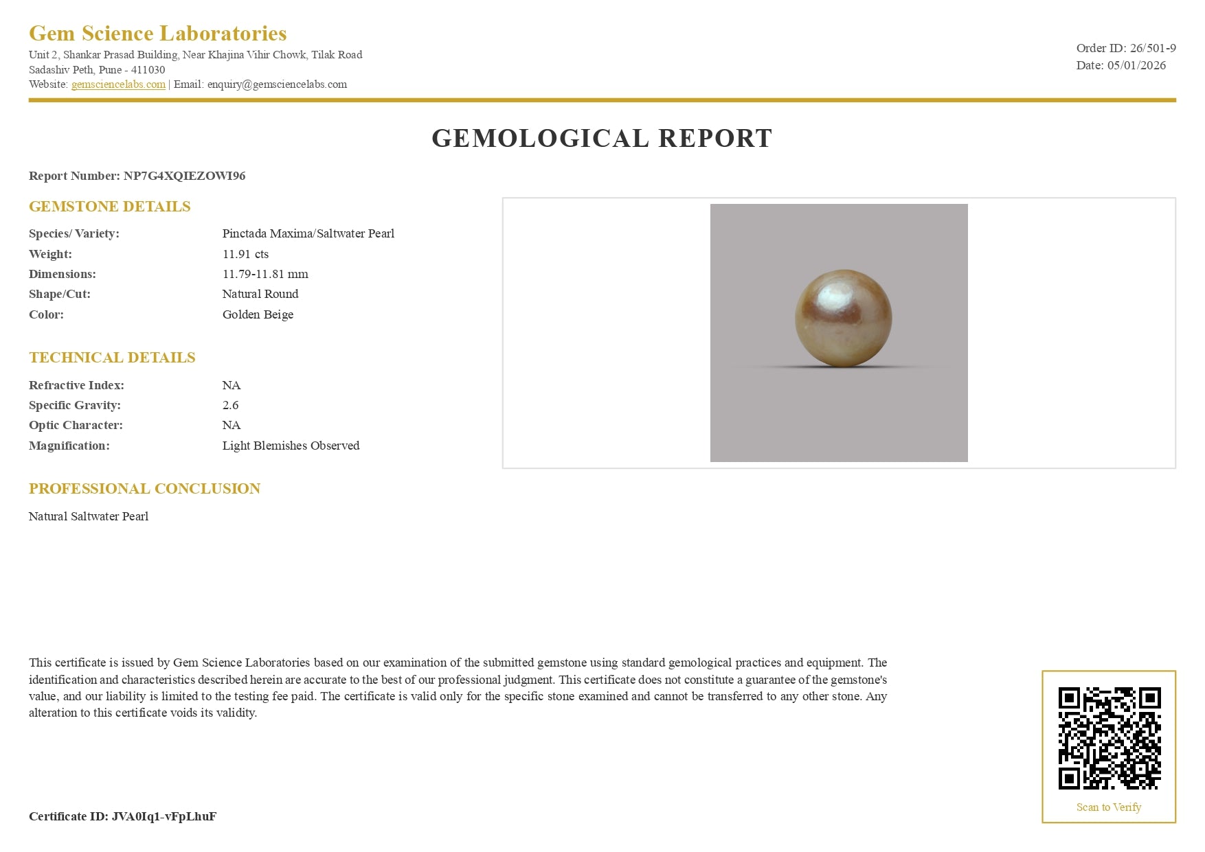 South Sea Pearl -  11.91 Carat