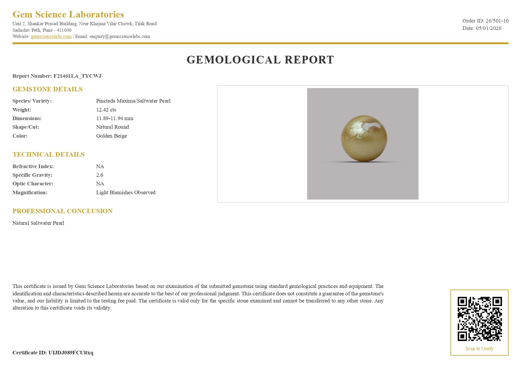 South Sea Pearl -  12.42  Carat