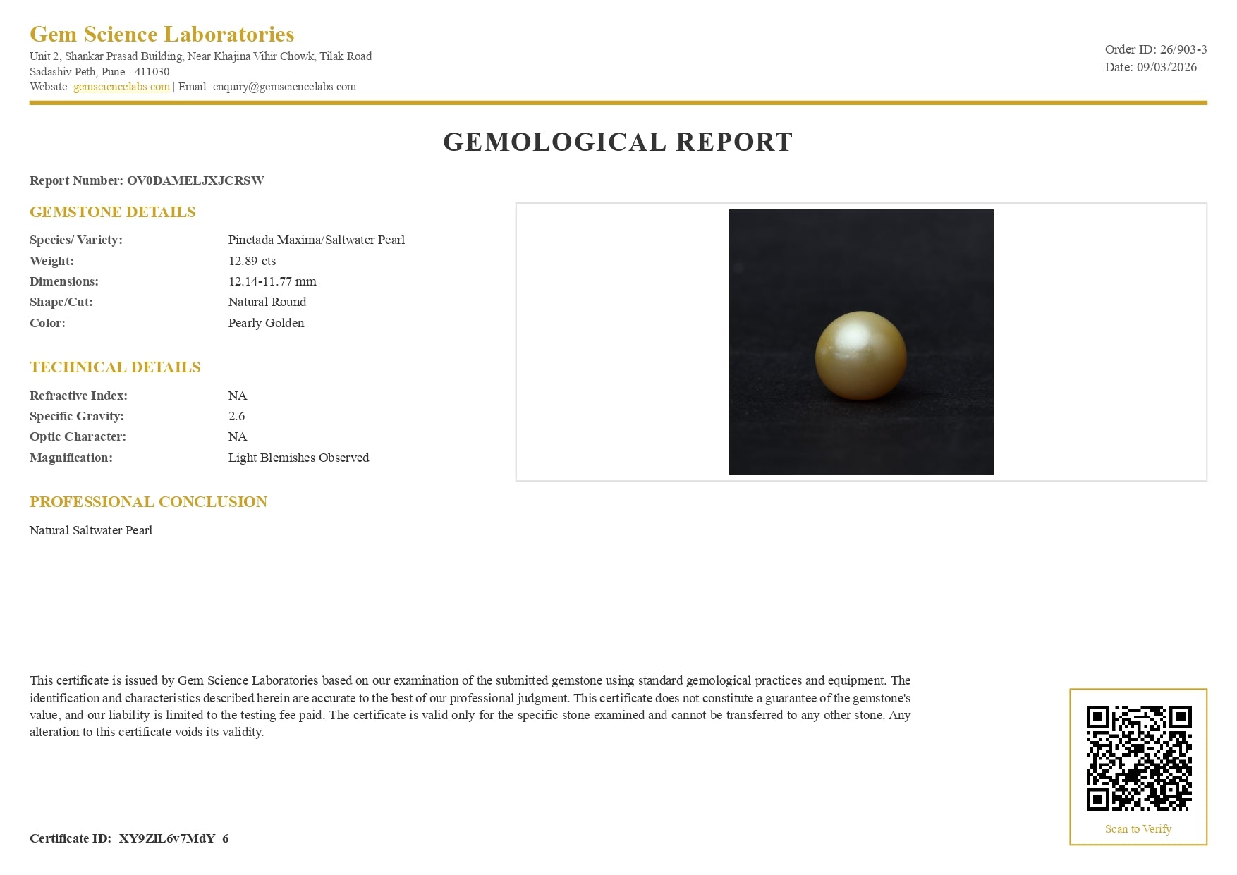 South Sea Pearl -  12.89 Carat