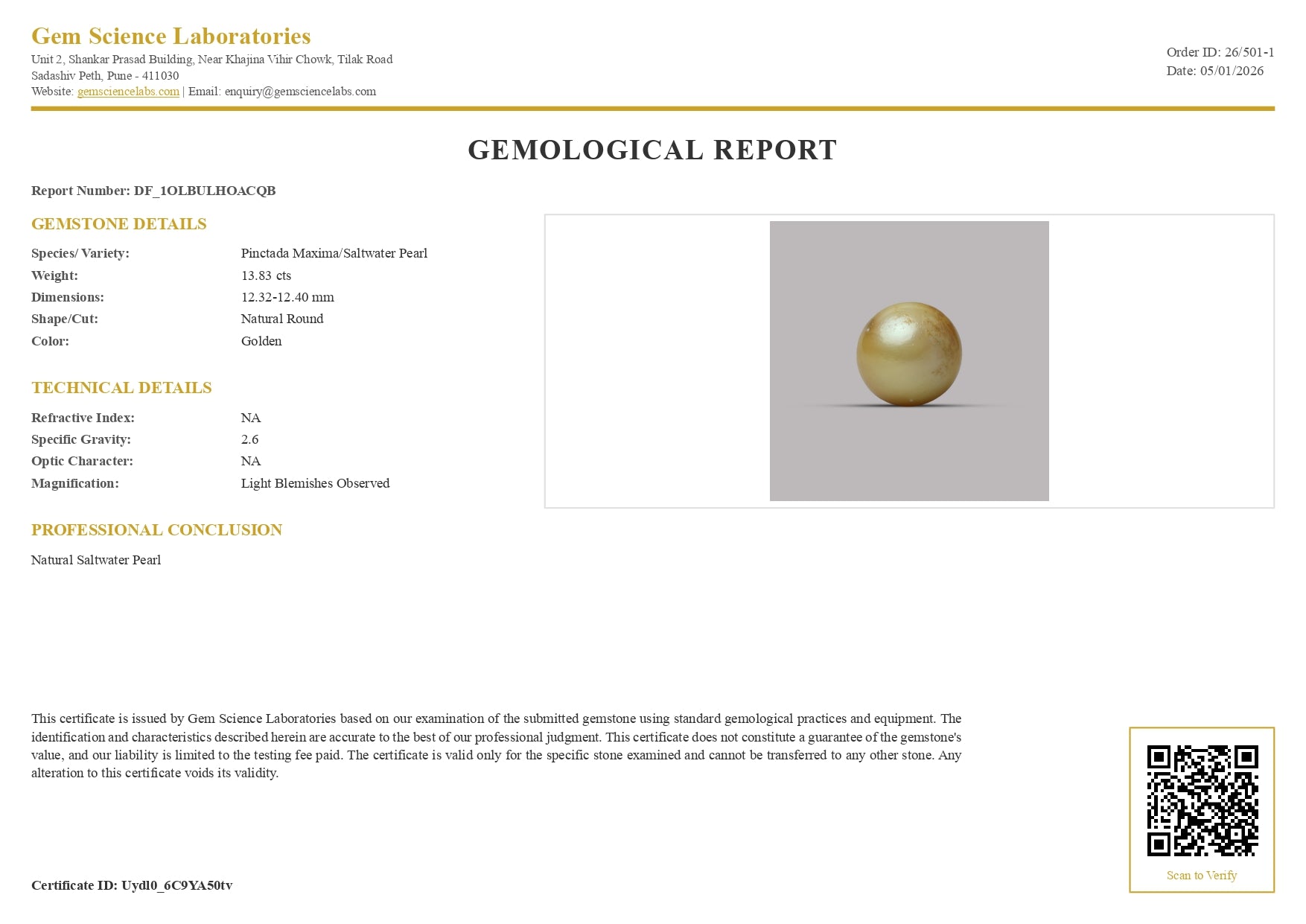 South Sea Pearl -  13.83 Carat