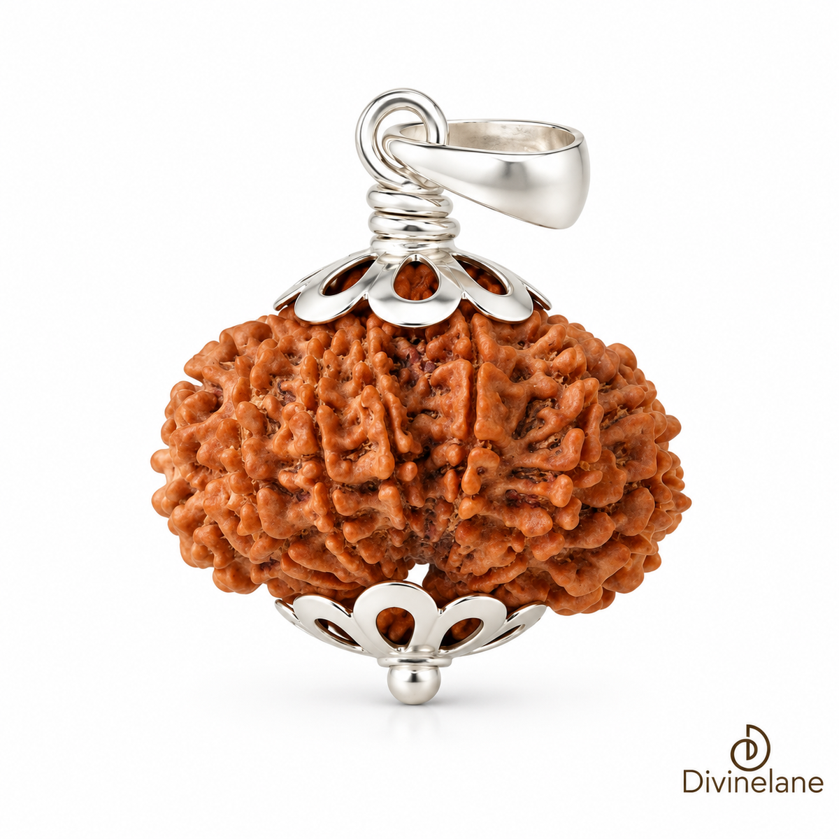 14 Mukhi Rudraksha