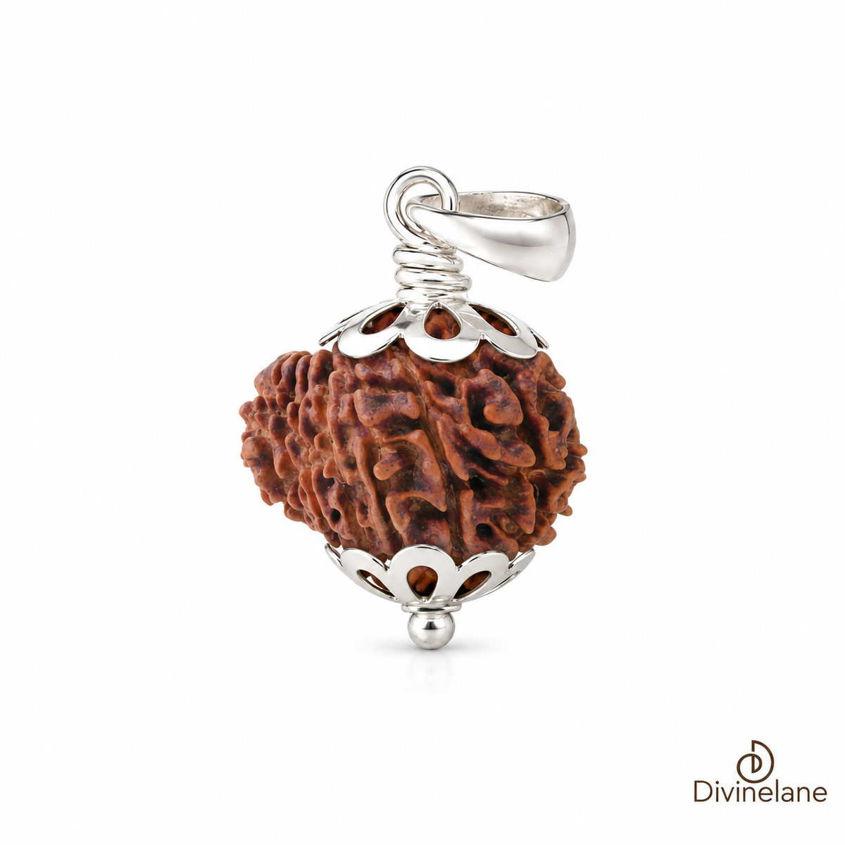 15 Mukhi Rudraksha