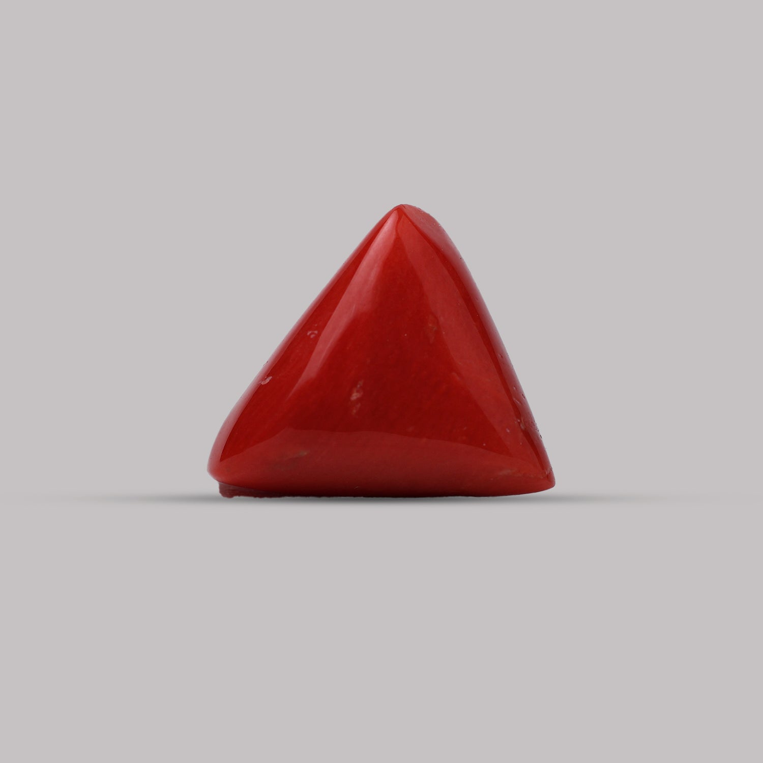 Red Coral - 6.30 Carat