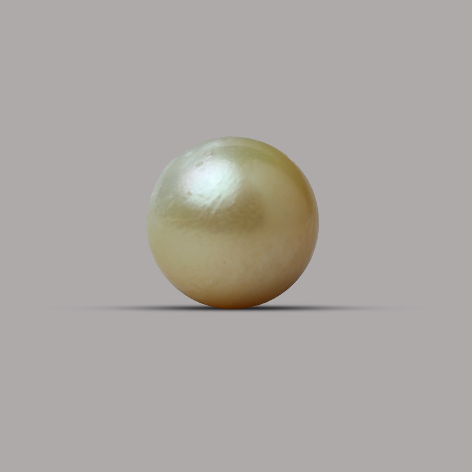 South Sea Pearl -  10.17 Carat