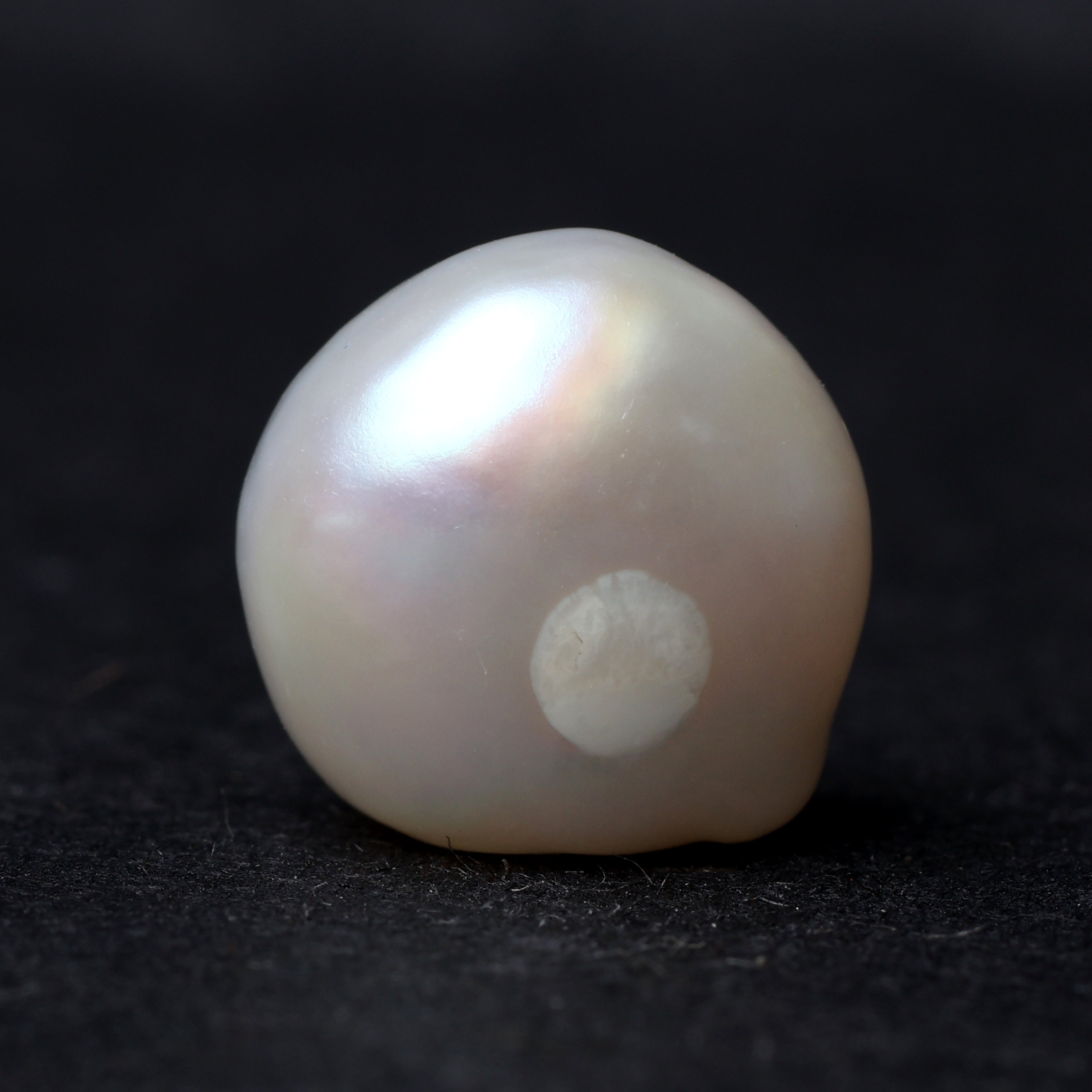 Fresh Water Pearl - 6.92 Carat