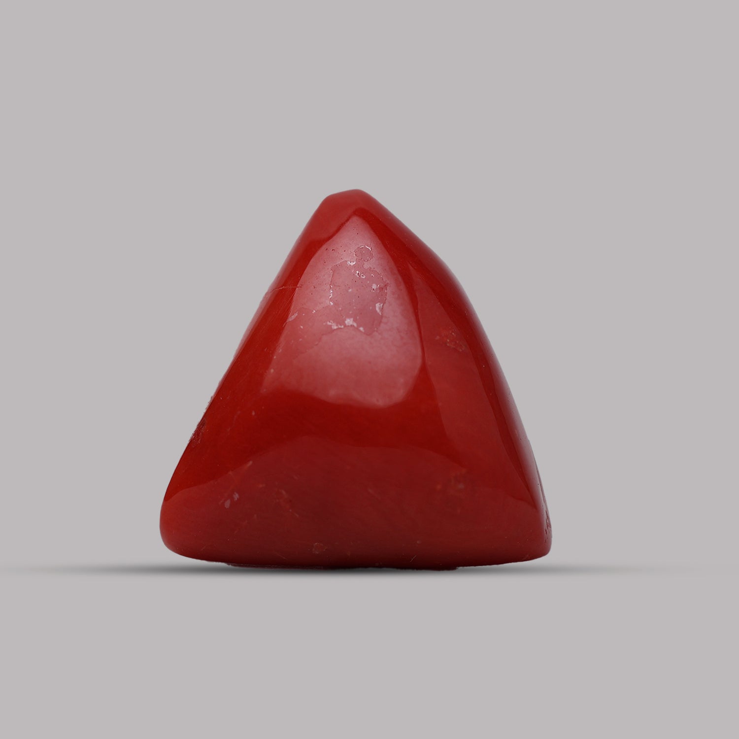 Red Coral - 13.00 Carat