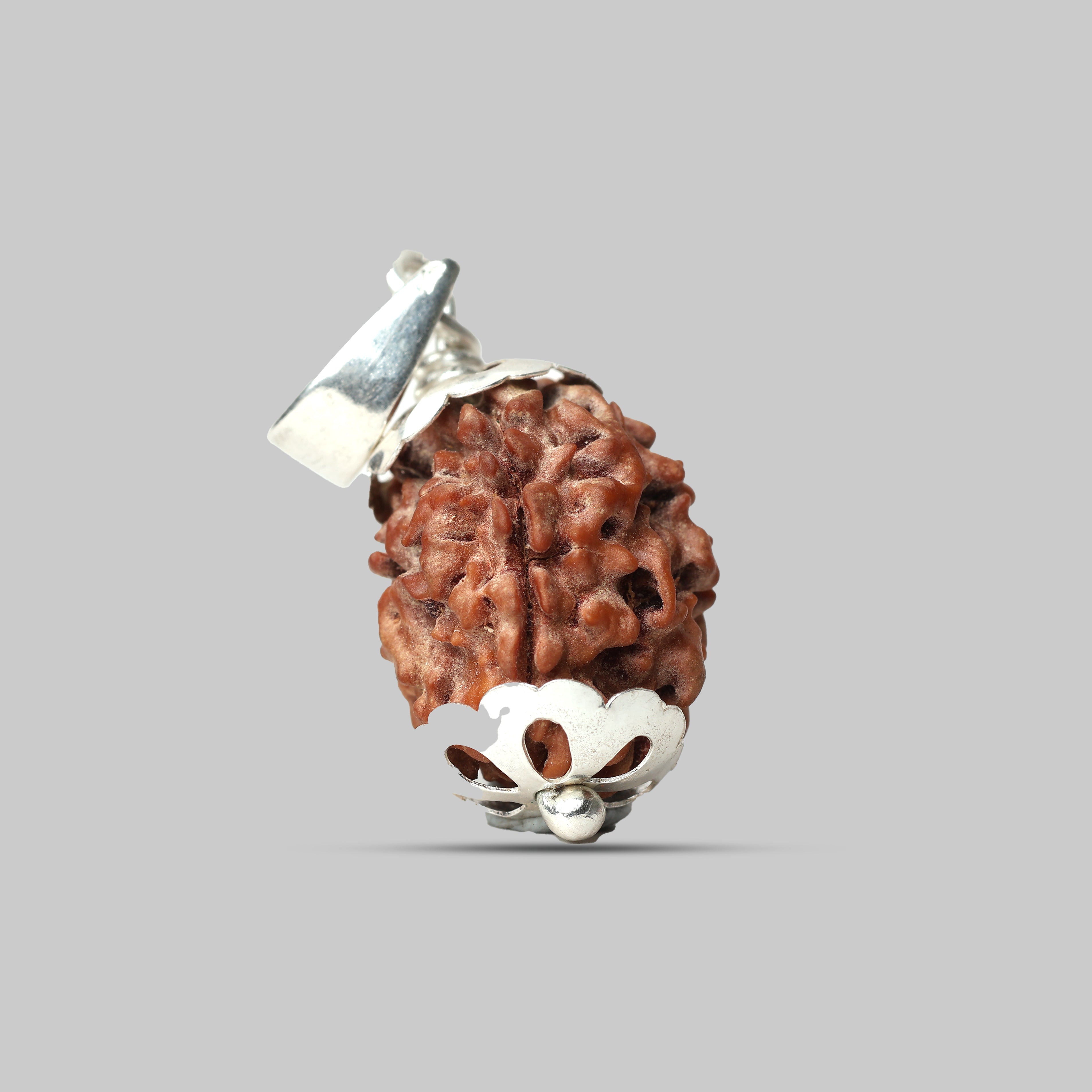 3 Mukhi Rudraksha