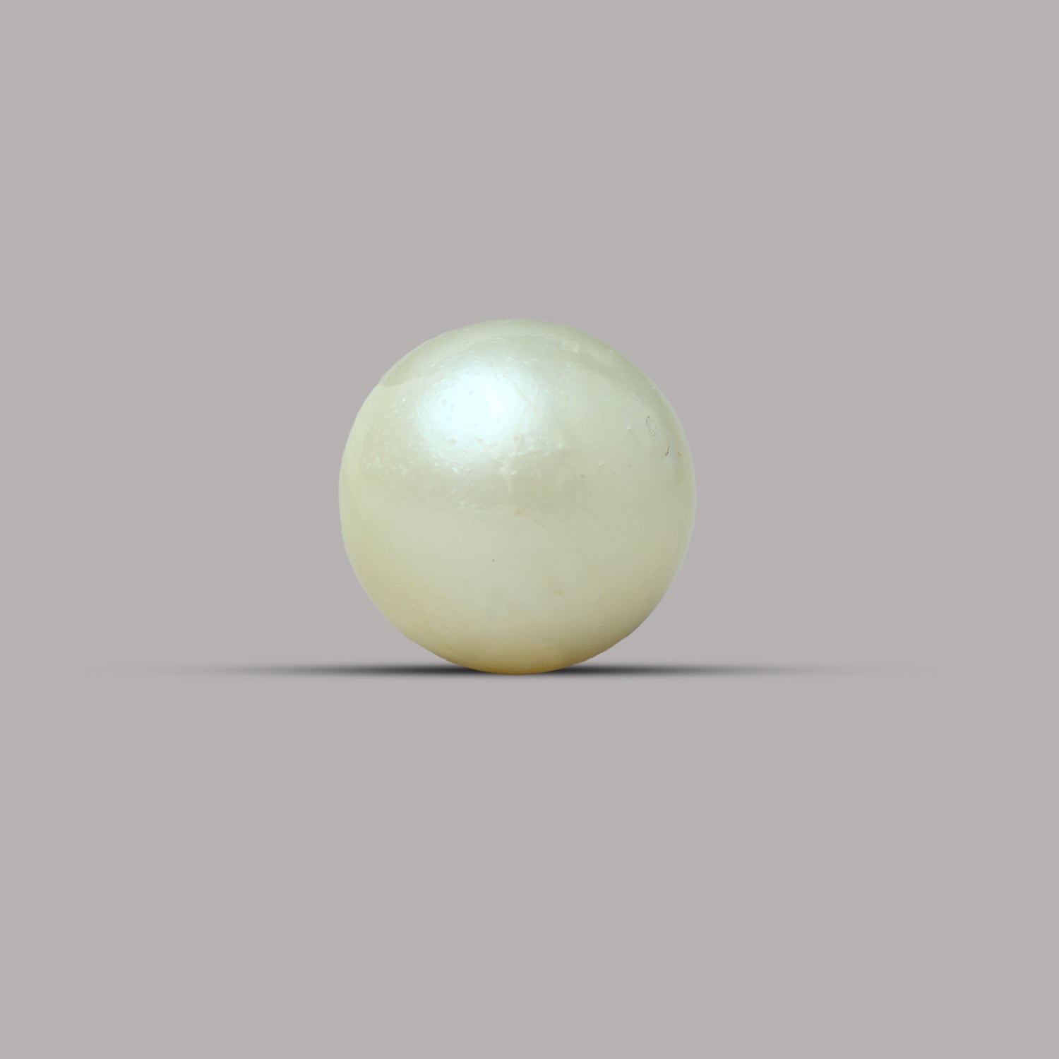 South Sea Pearl -  7.26 Carat