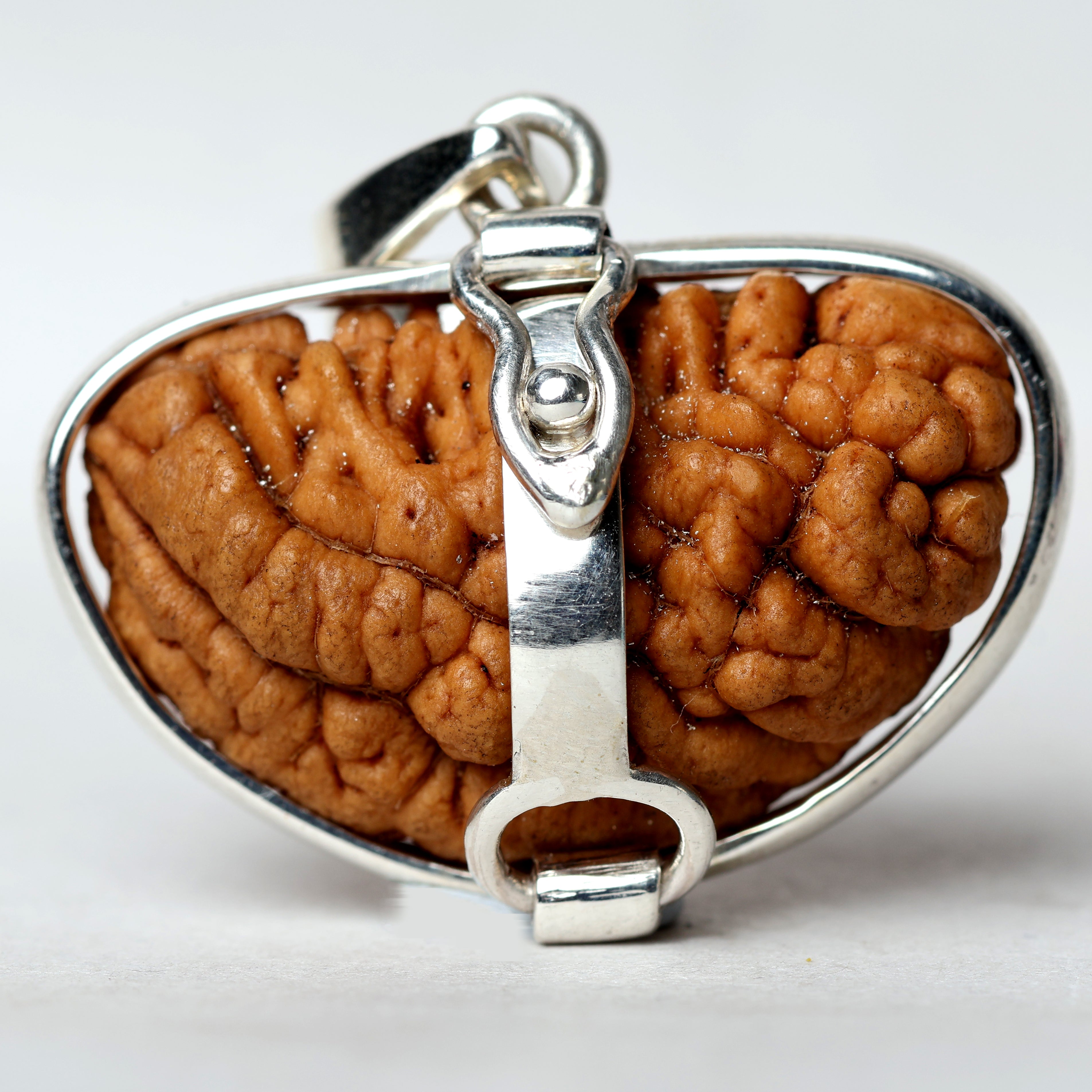 1 Mukhi Rudraksha