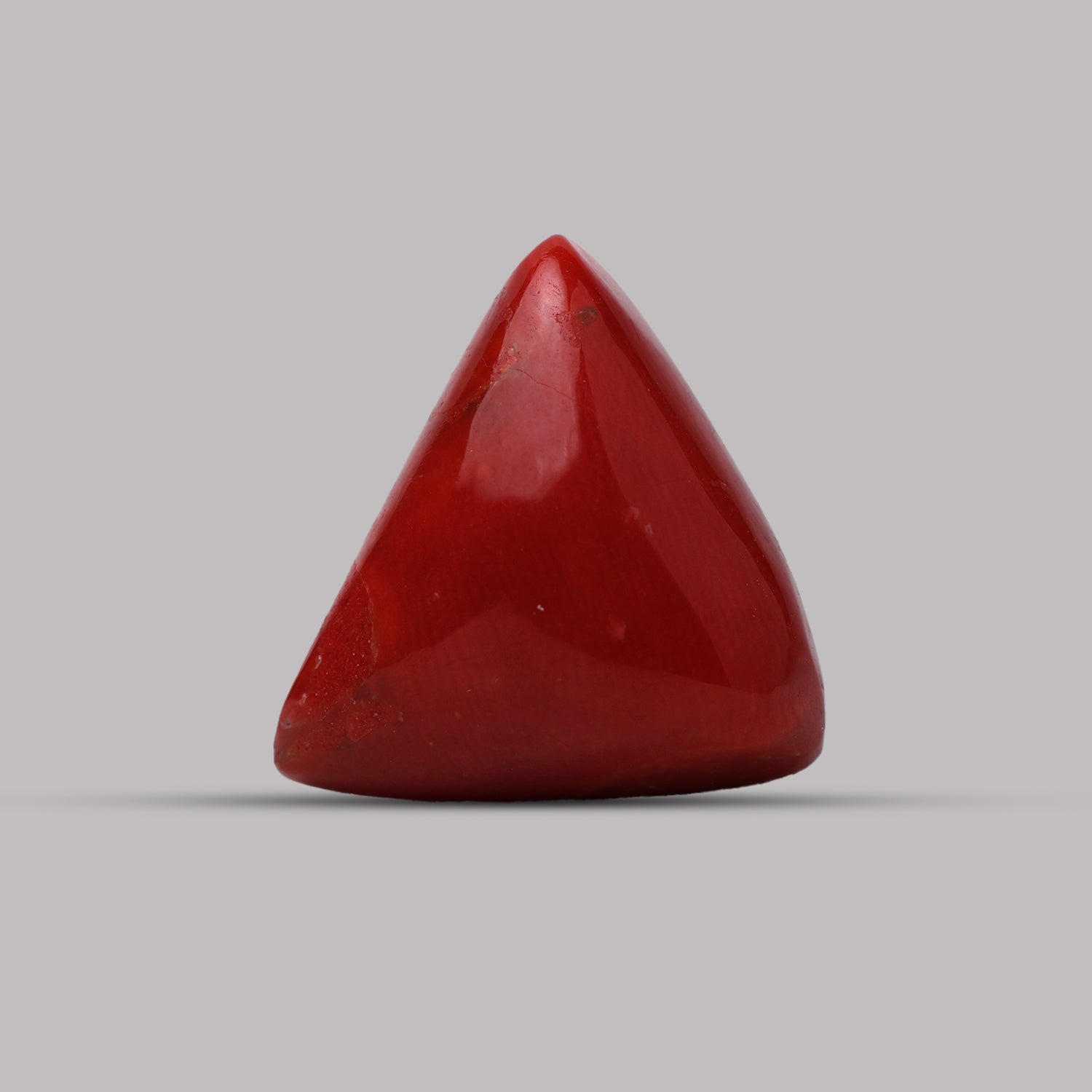 Red Coral - 12.40 Carat