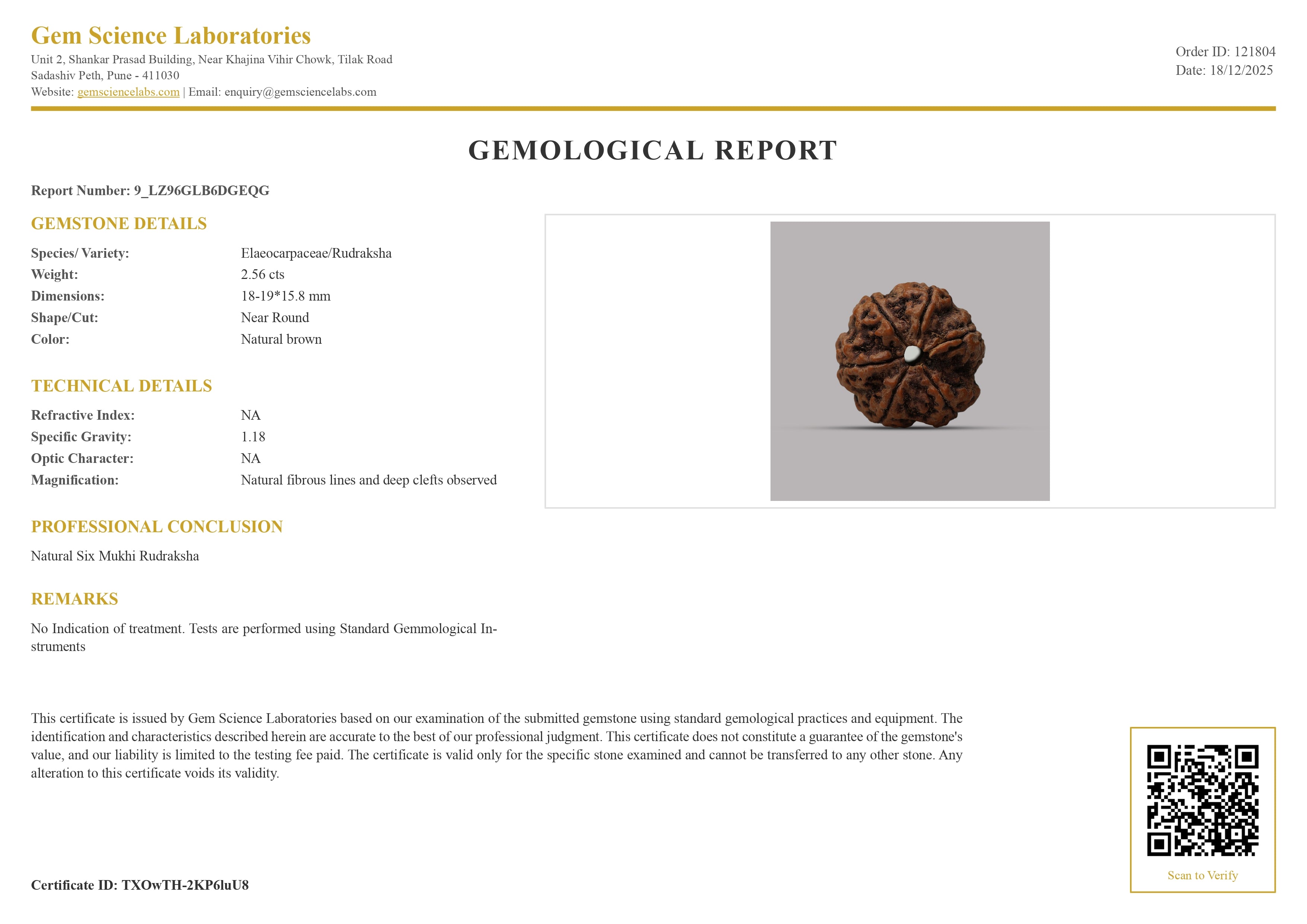 6 Mukhi Rudraksha