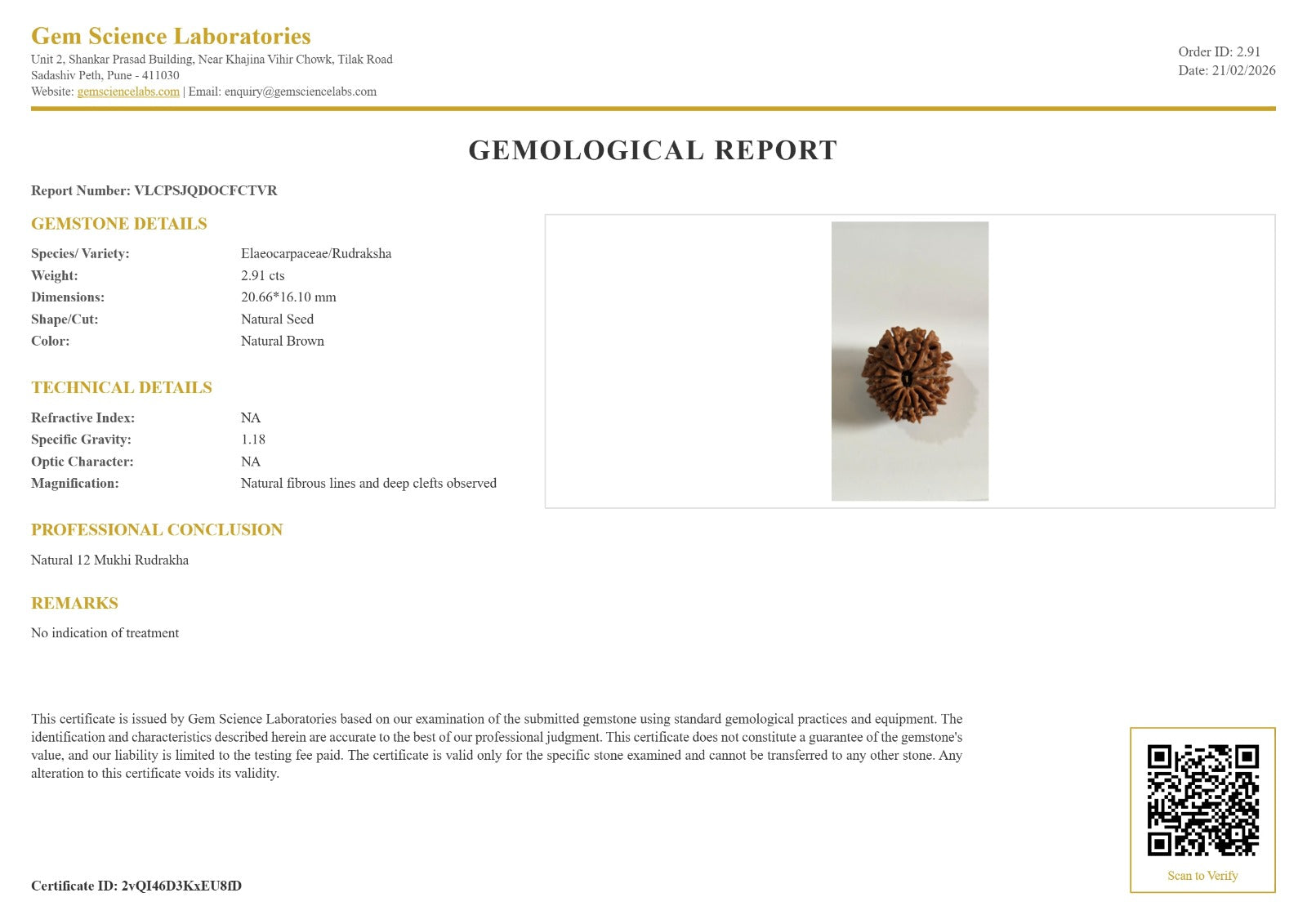 12 Mukhi Rudraksha