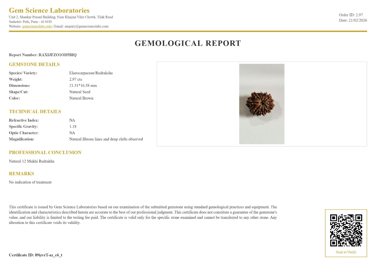 12 Mukhi Rudraksha