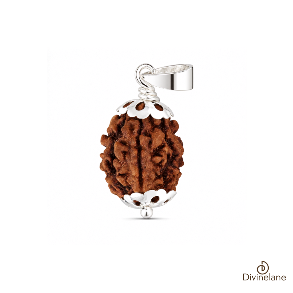 3 Mukhi Rudraksha (Nepali)