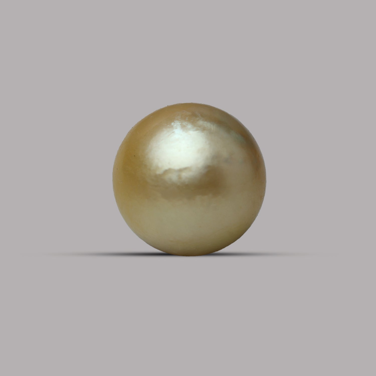 South Sea Pearl -  10.17 Carat