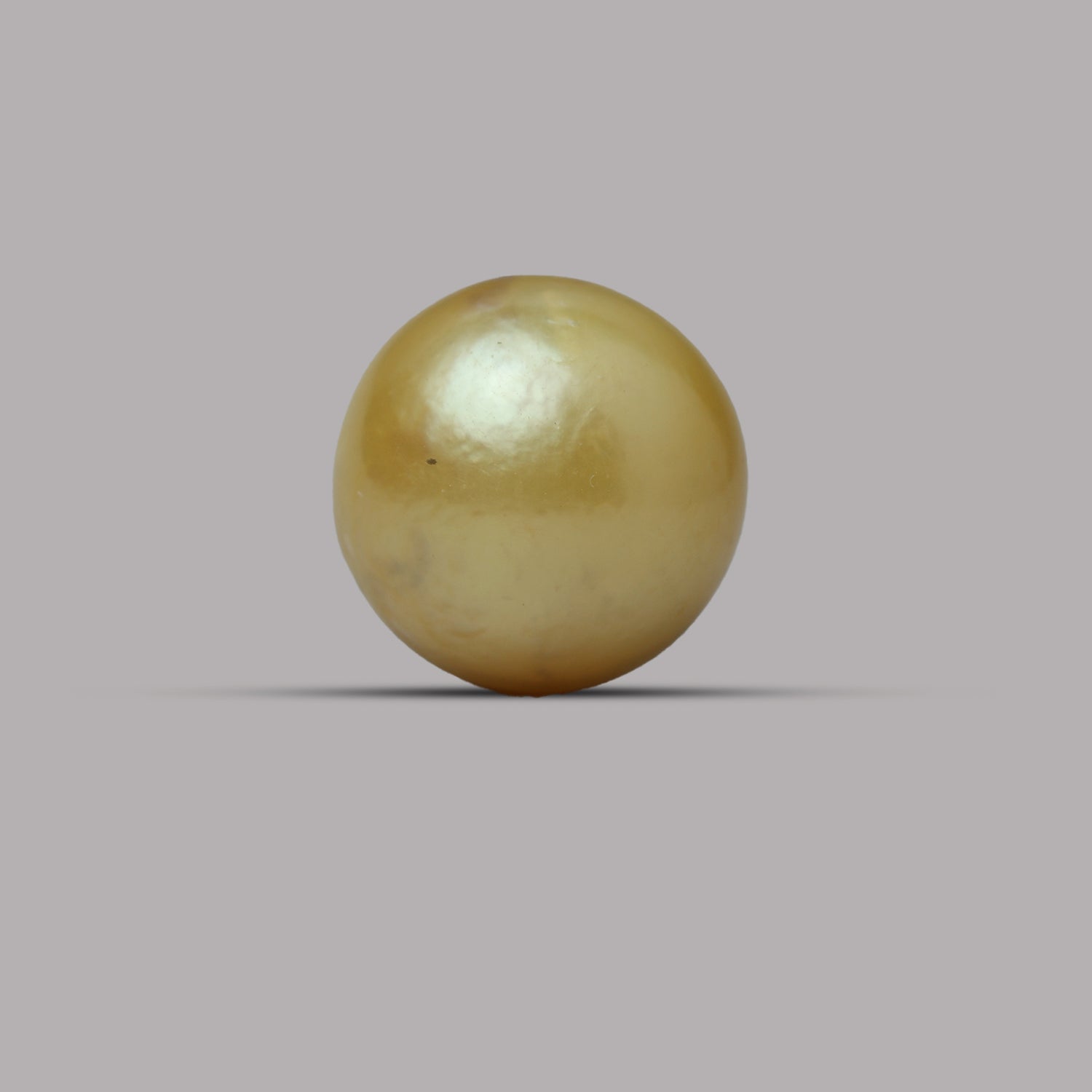 South Sea Pearl -  12.42  Carat