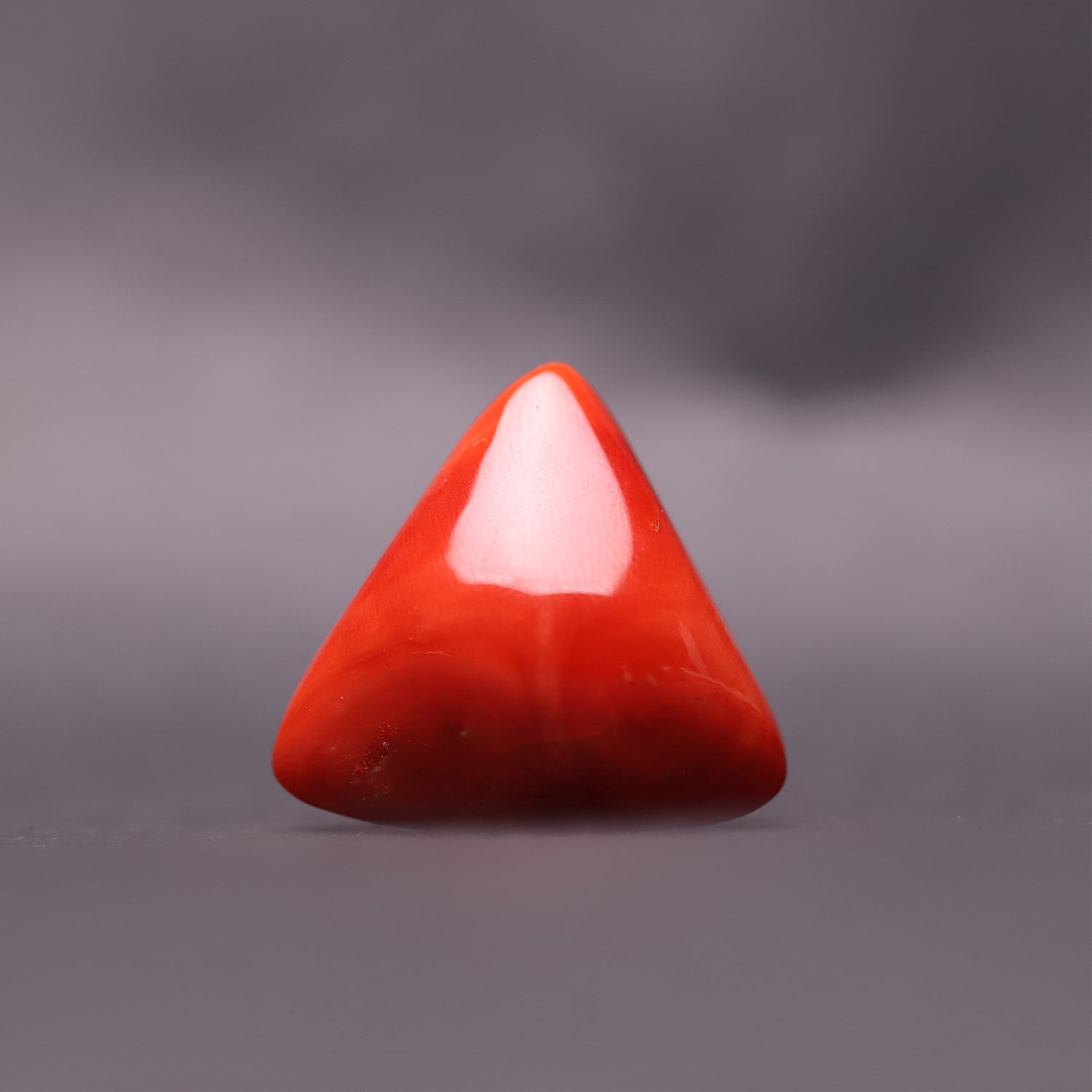 Red Coral - 70.39 Carat